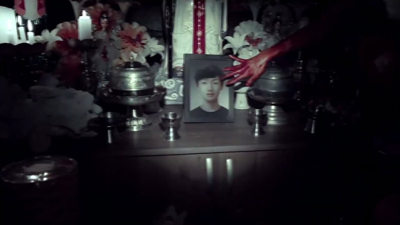 마루이 비디오 - immagine