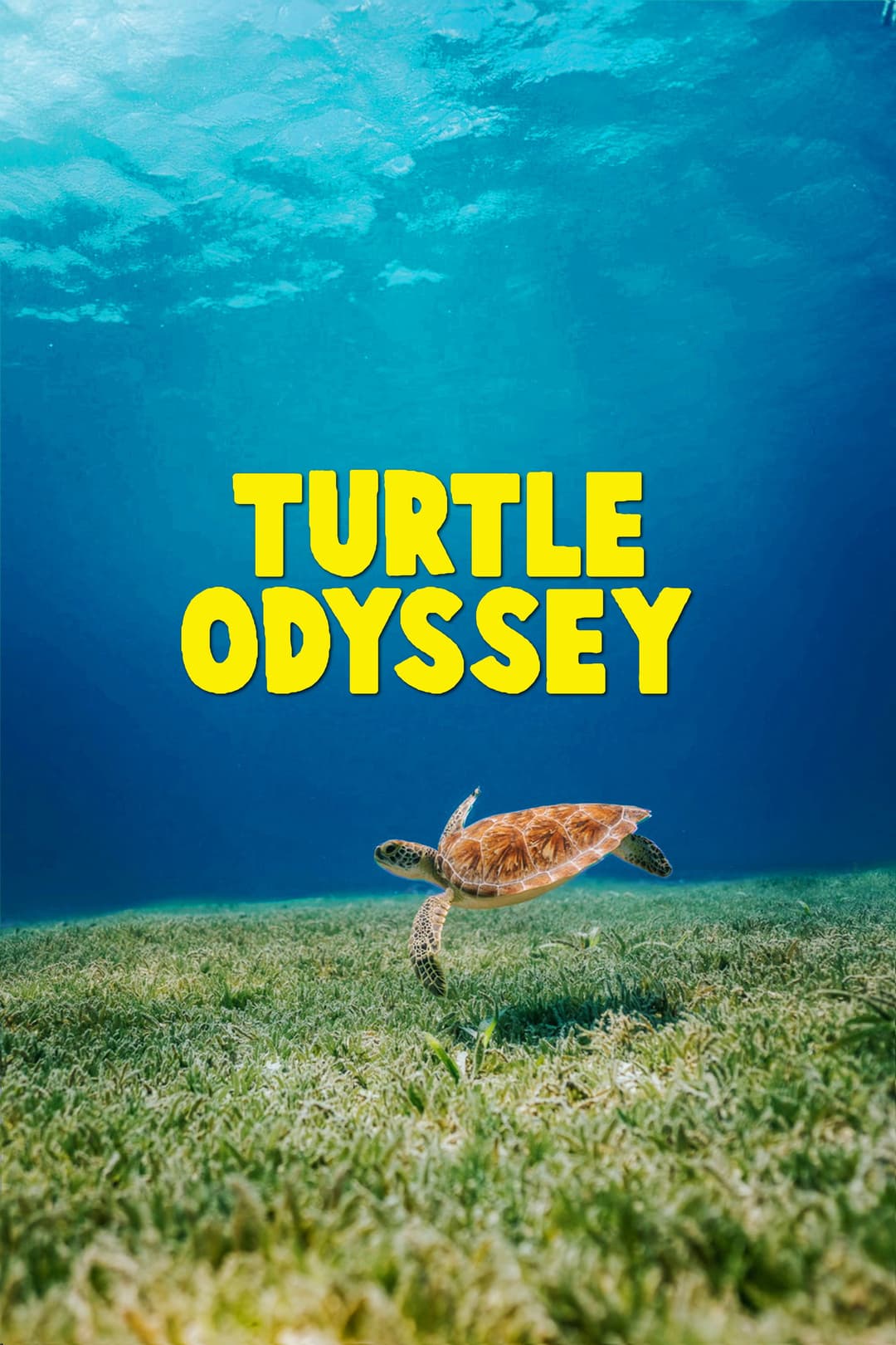 Poster di Turtle Odyssey