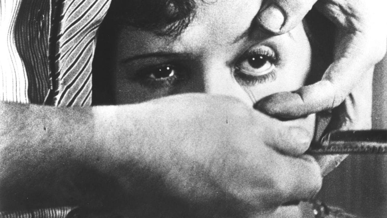 Un chien andalou - immagine