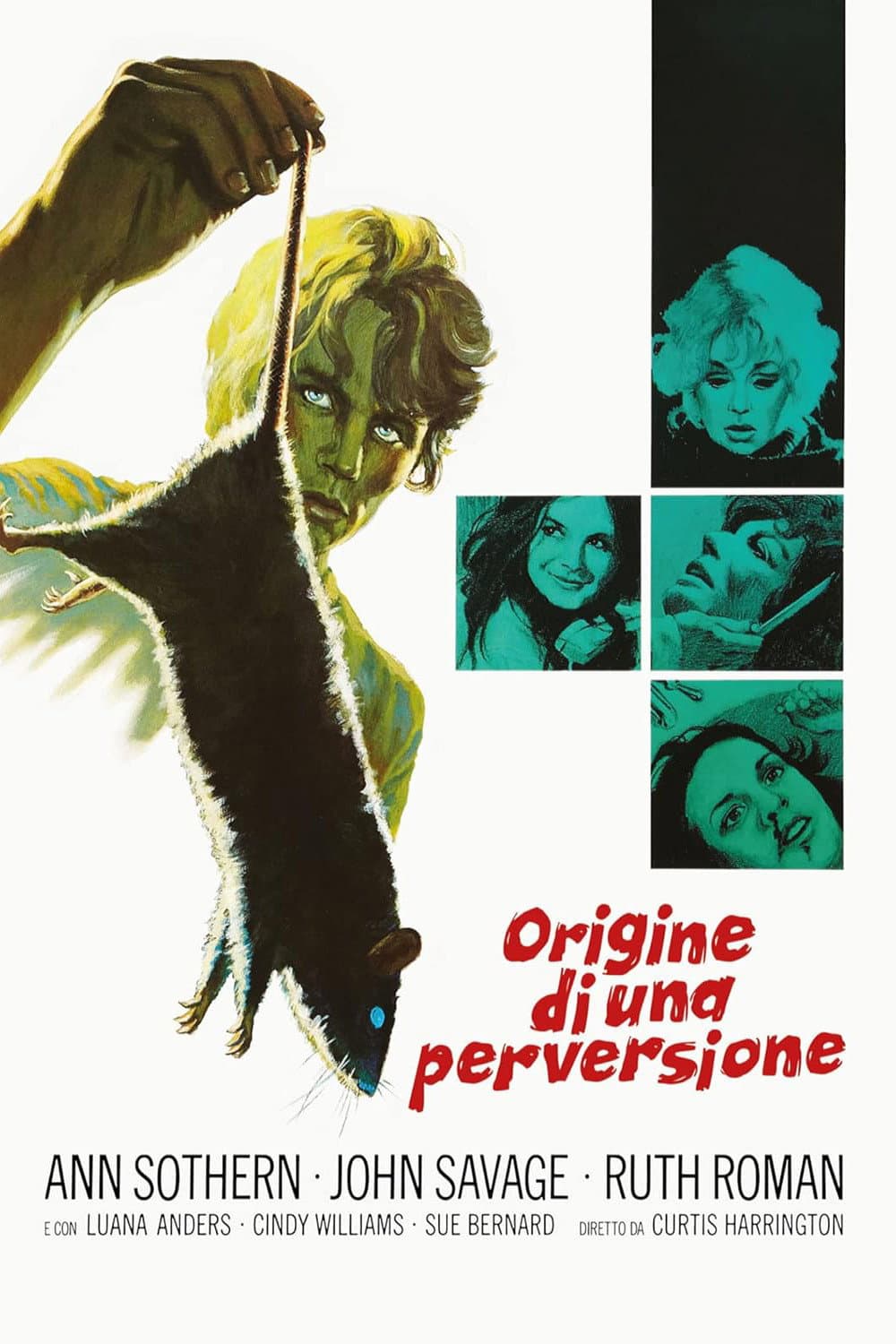 Poster di Origine di una perversione