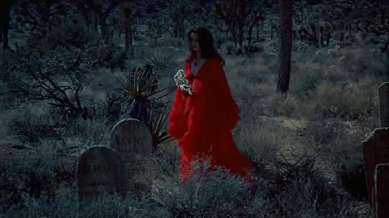 The Velvet Vampire - immagine