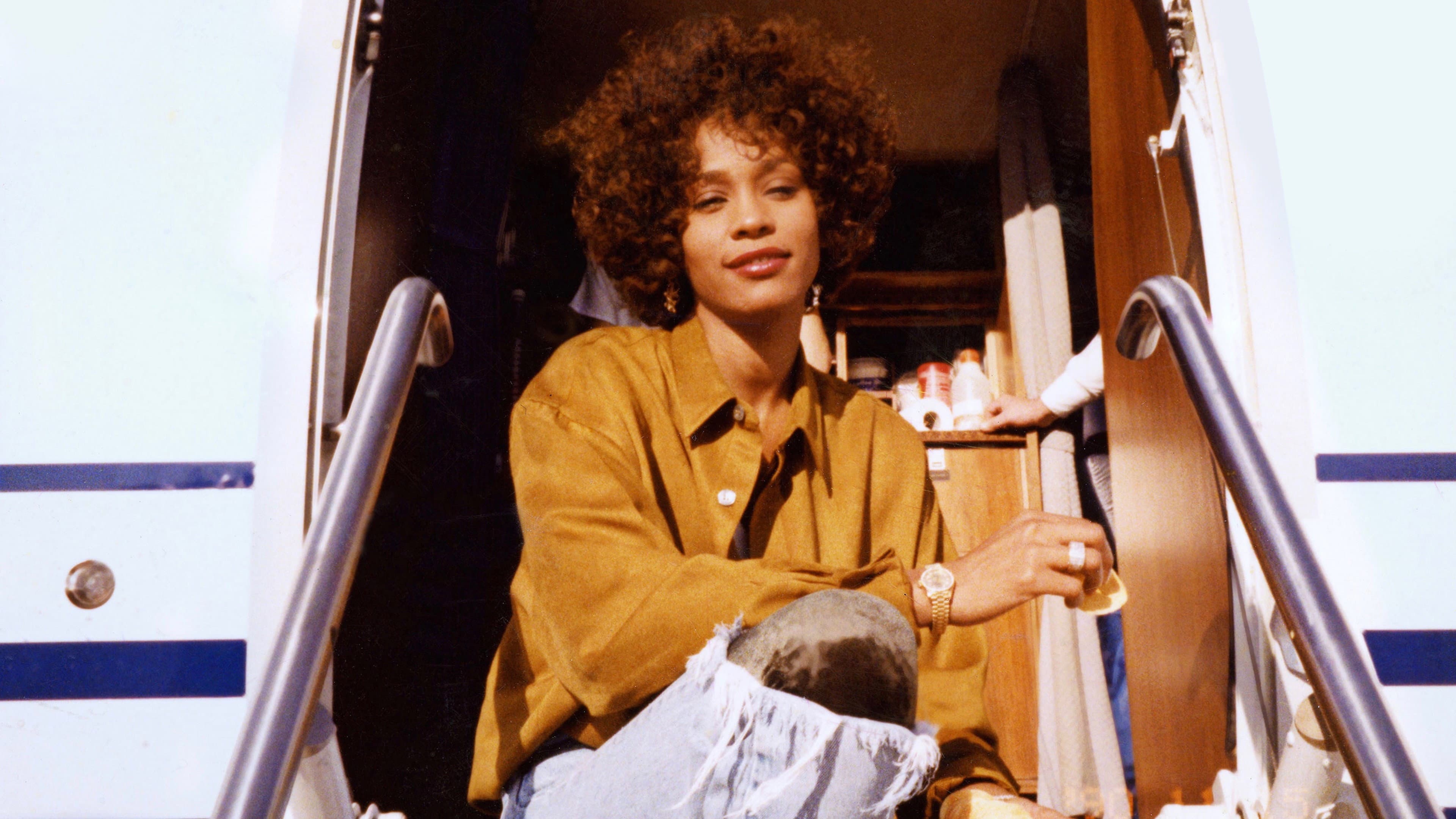 Whitney Houston - Stella senza cielo - immagine