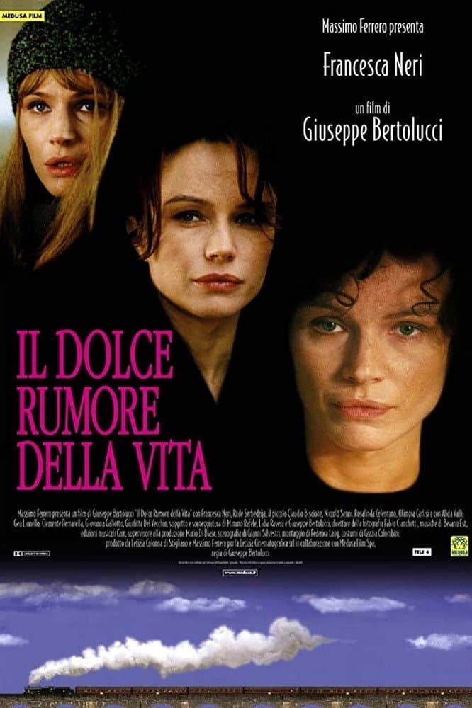Poster di Il dolce rumore della vita