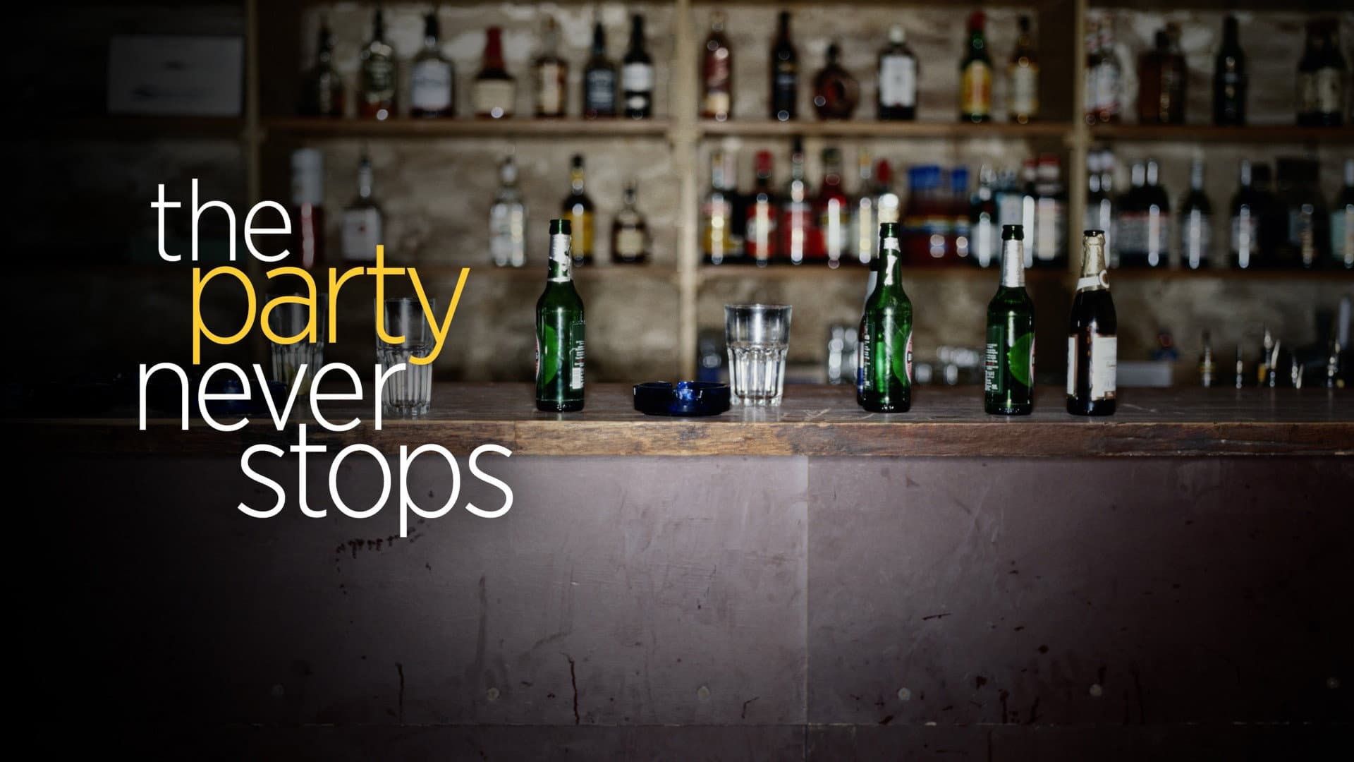 The Party Never Stops: Diary of a Binge Drinker - immagine