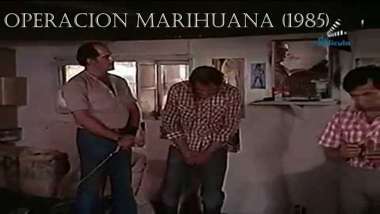 Mission - Marihuana - immagine