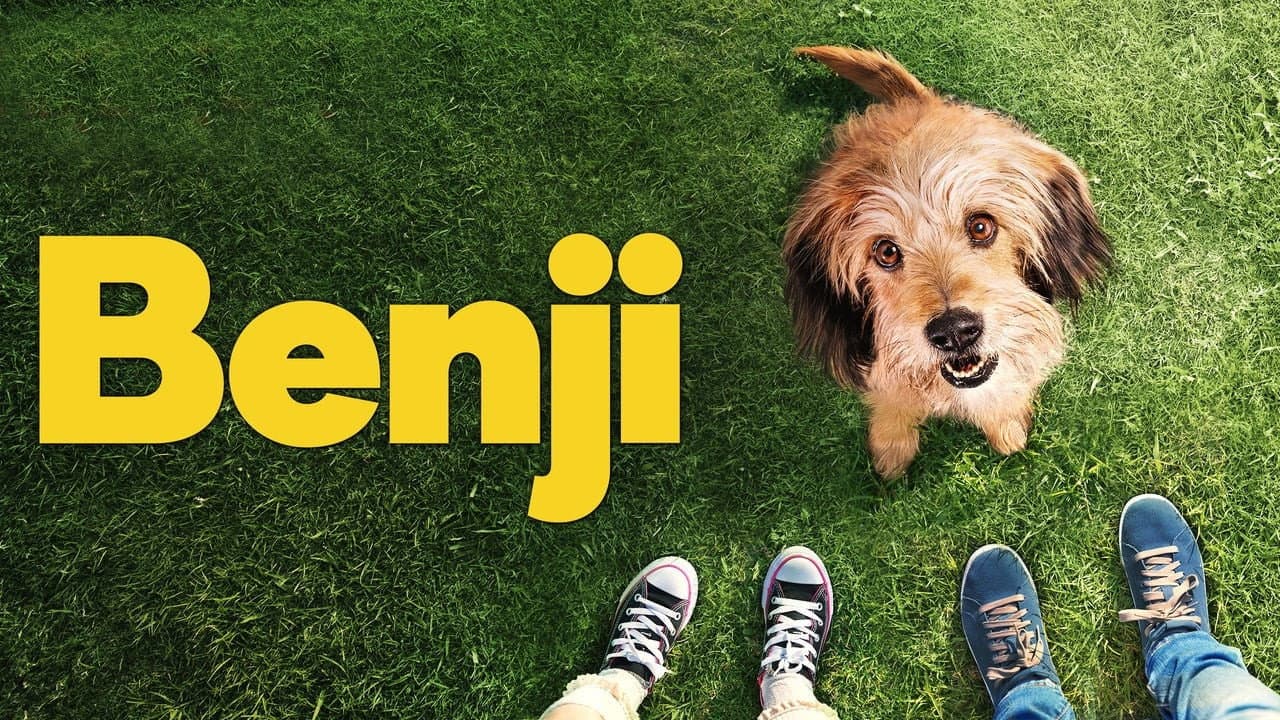 Benji - immagine