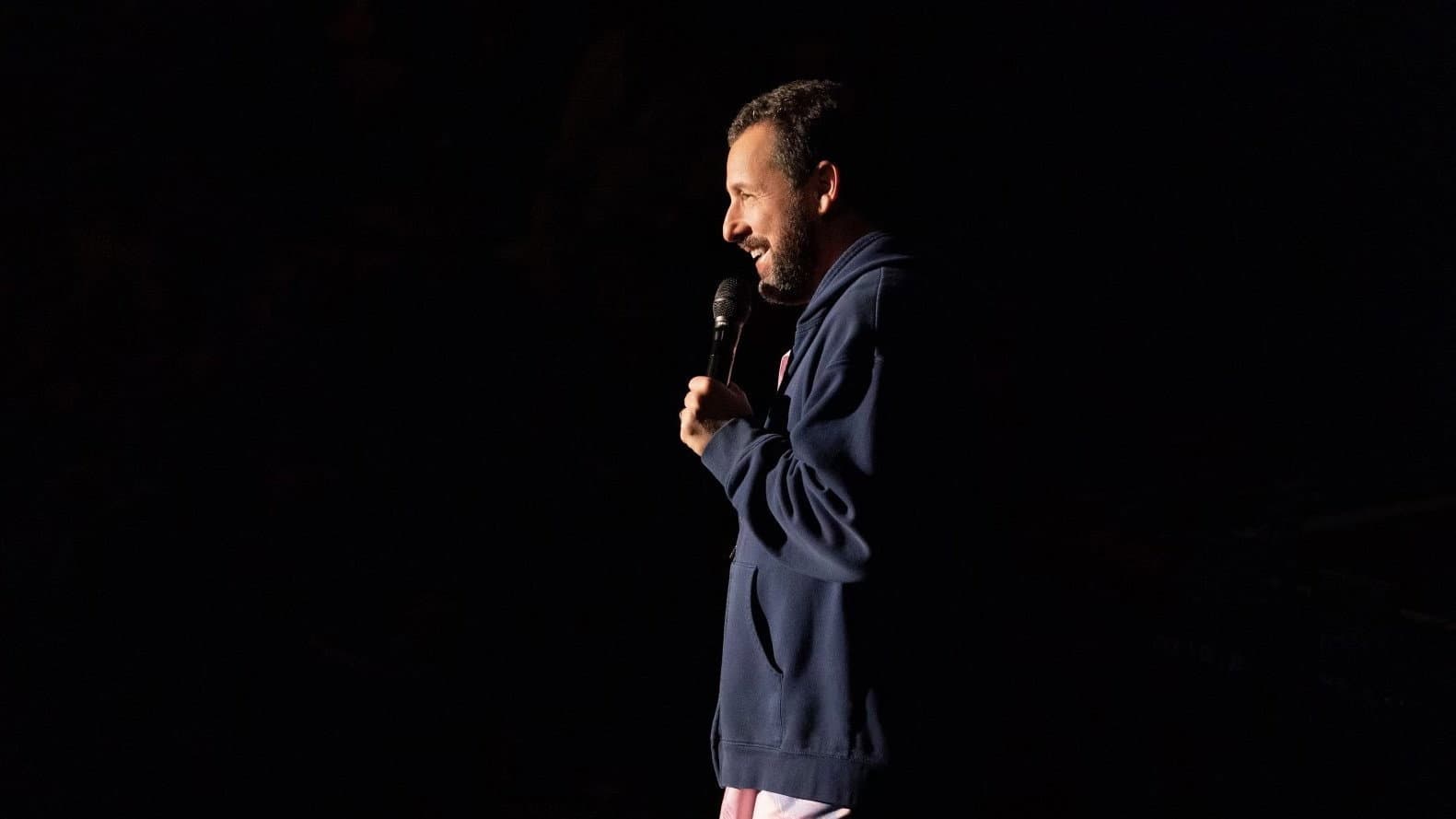 Adam Sandler: Love You - immagine