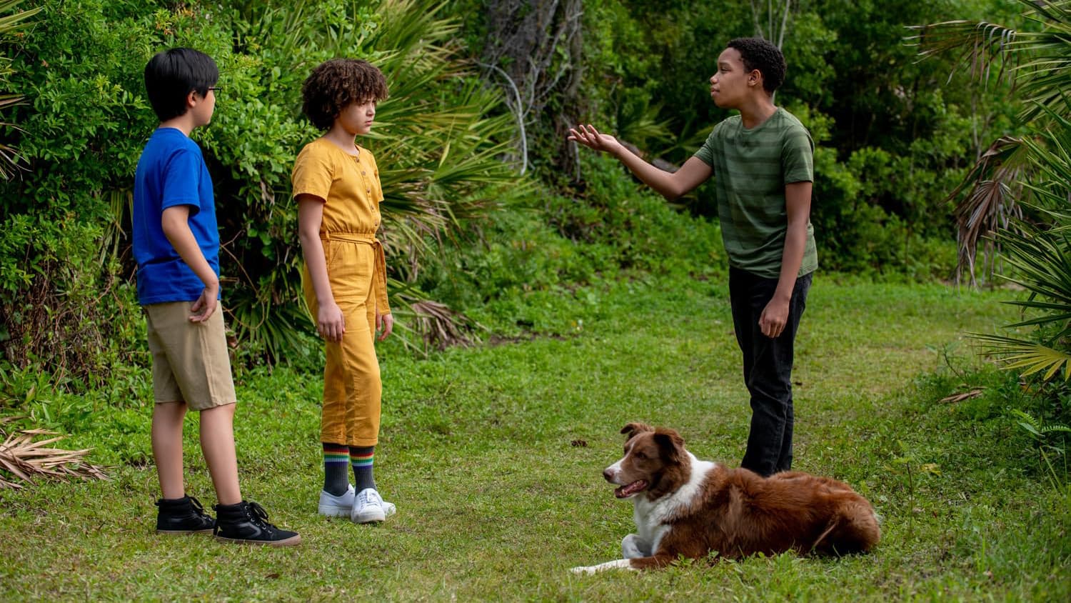 Pet detectives - Squadra salvacuccioli - immagine