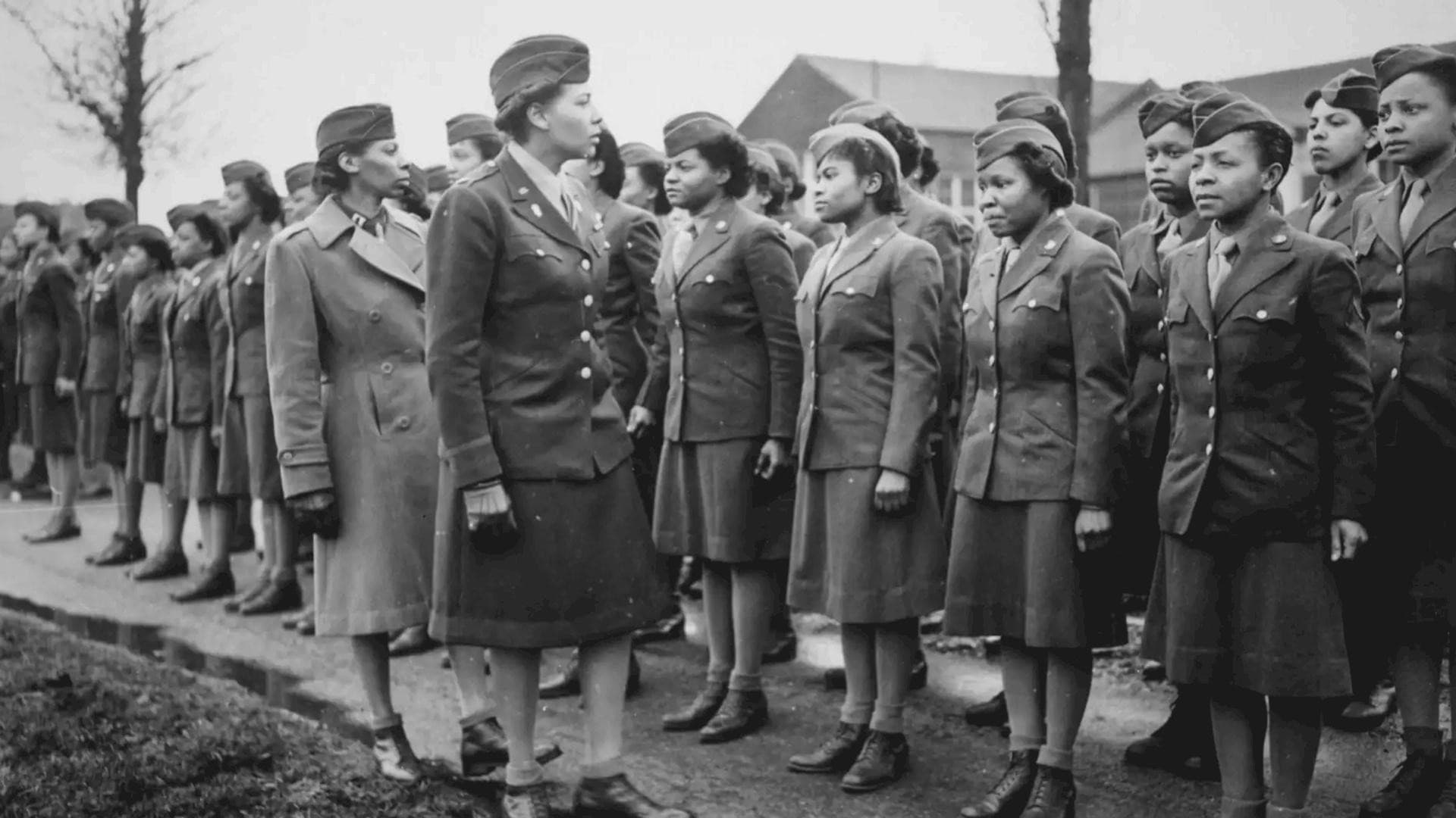 Her War, Her Story: World War II - immagine