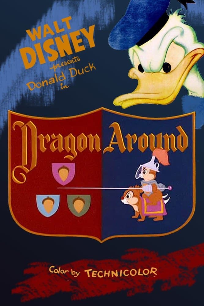 Poster di Il drago e i paladini