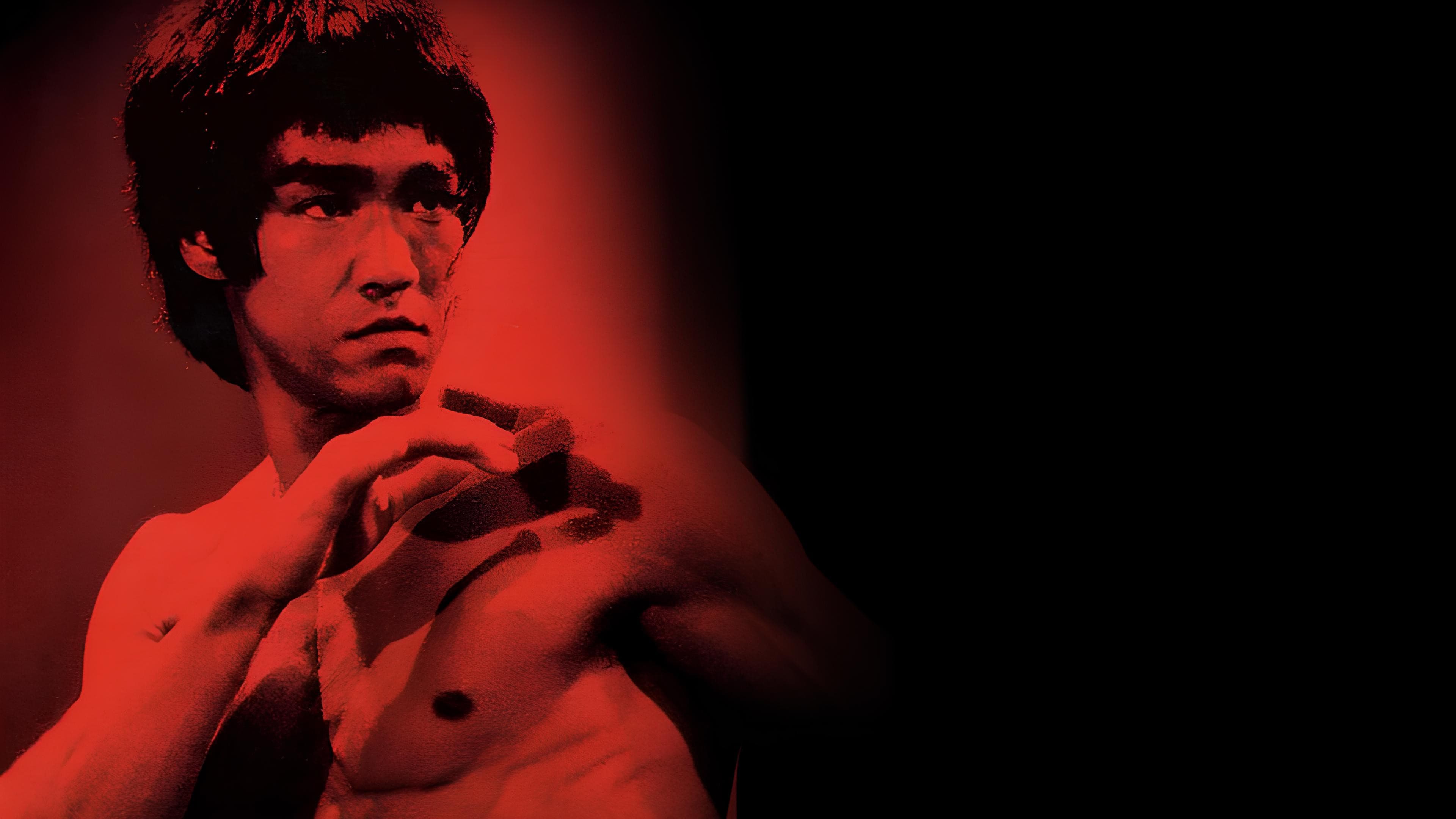 Bruce Lee: The Legend - immagine