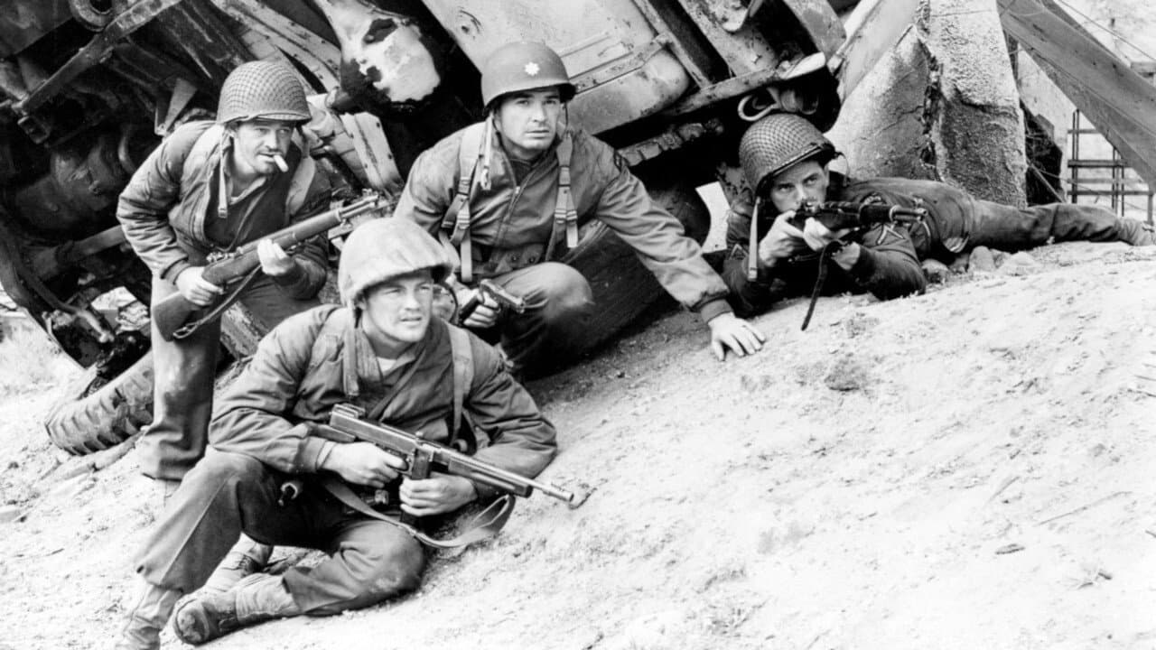 Commandos - immagine