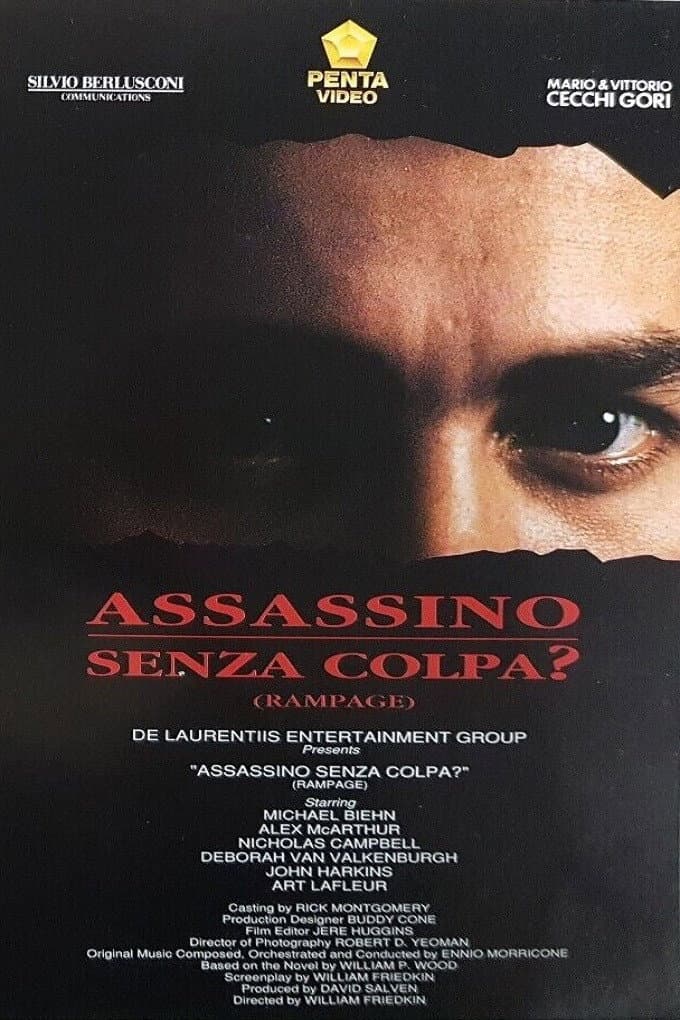 Poster di Assassino senza colpa?