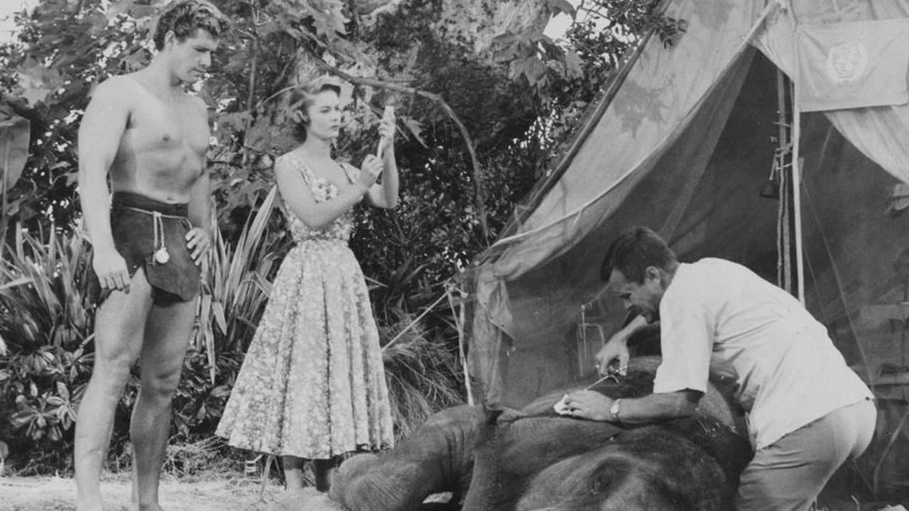 Tarzan nella jungla proibita - immagine