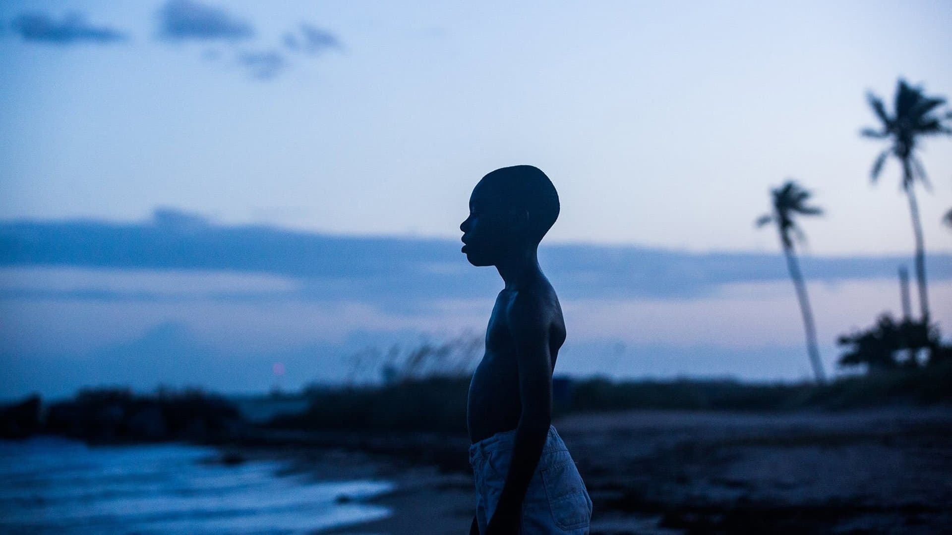 Moonlight - immagine