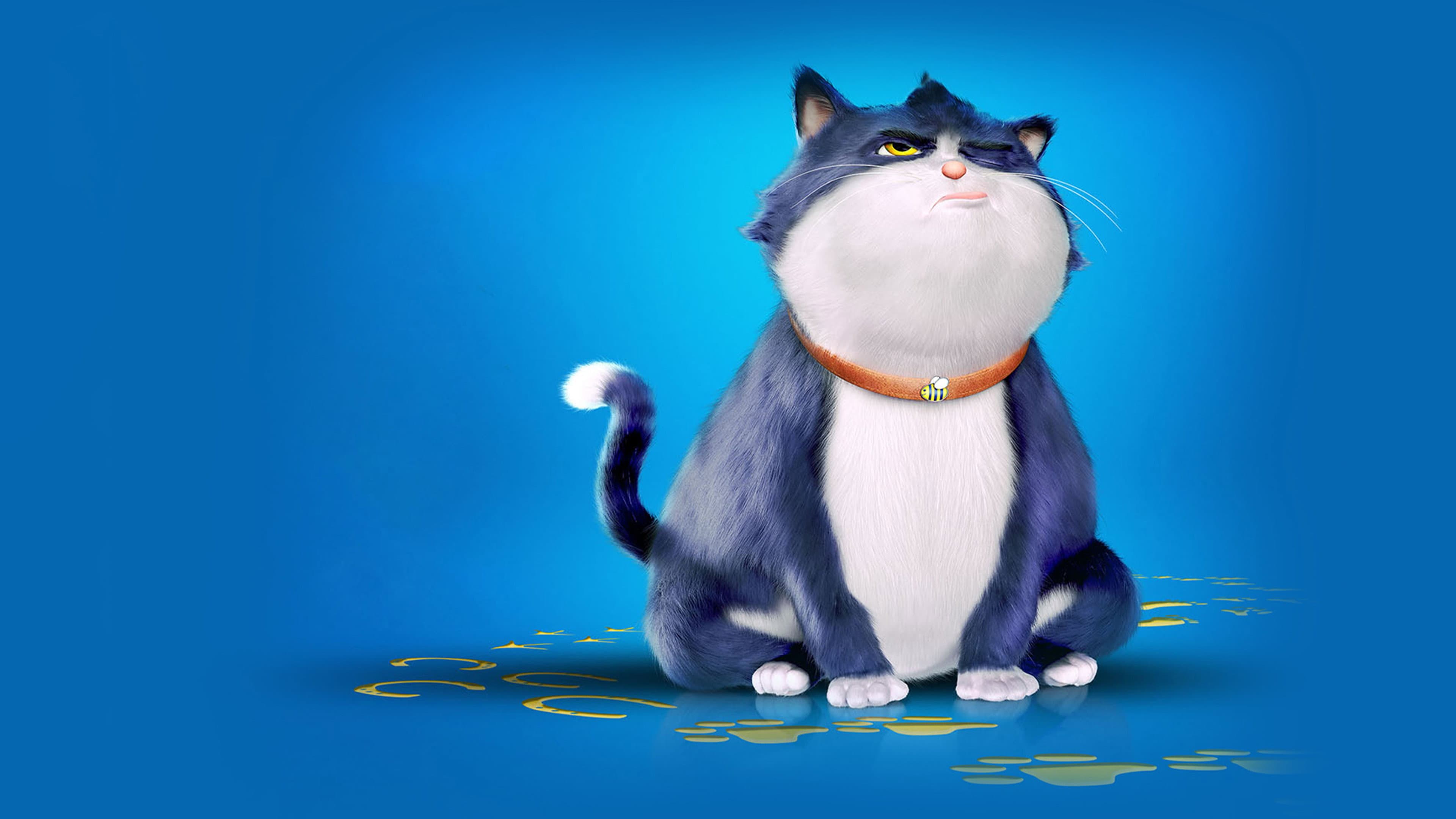 10 Lives - Un gatto fortunato - immagine