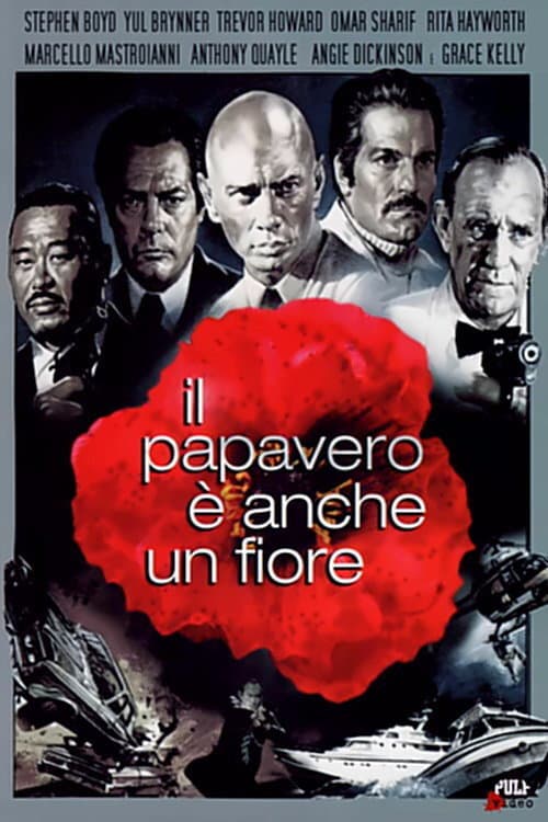 Poster di Il papavero è anche un fiore