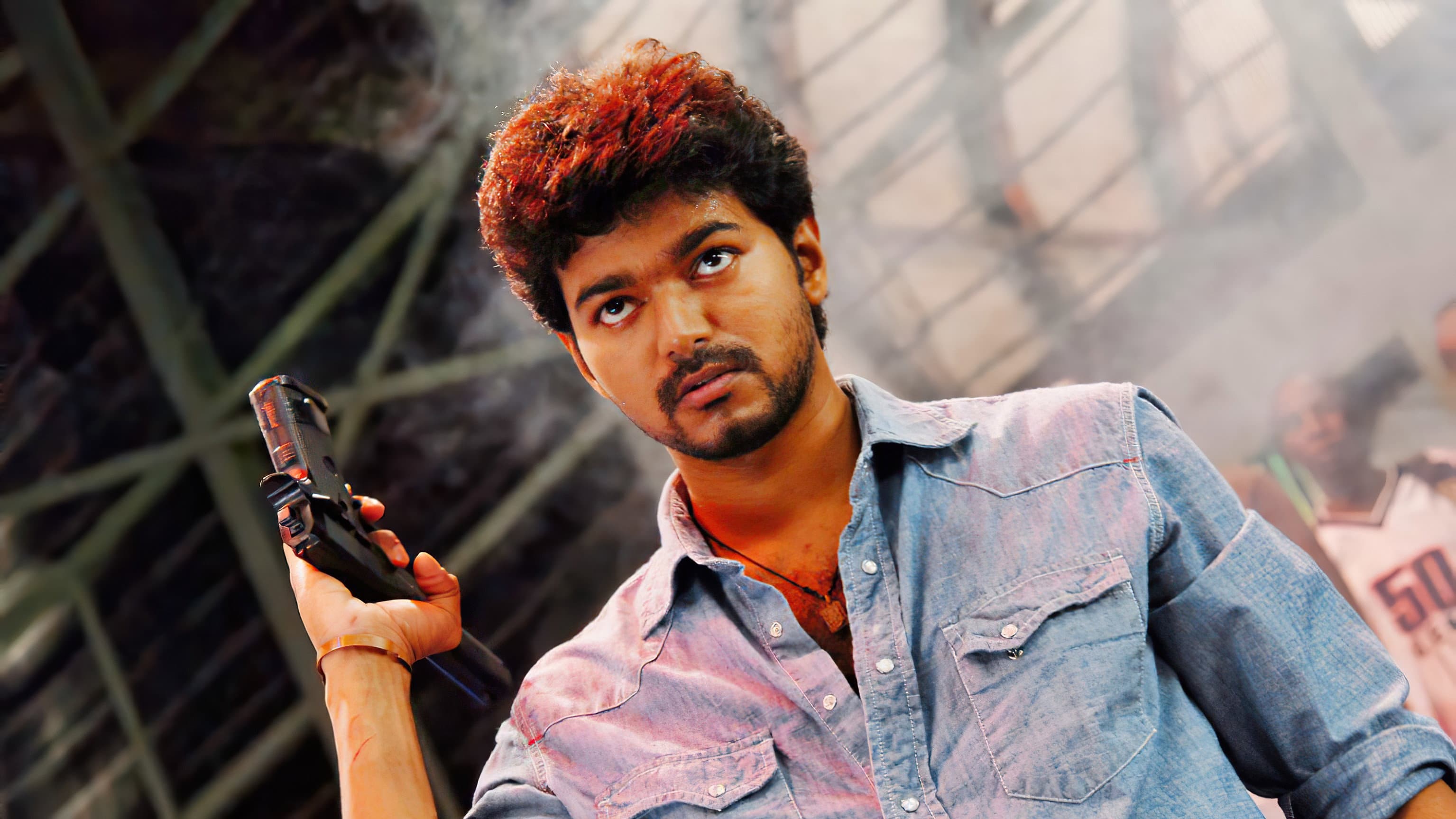 குருவி - immagine