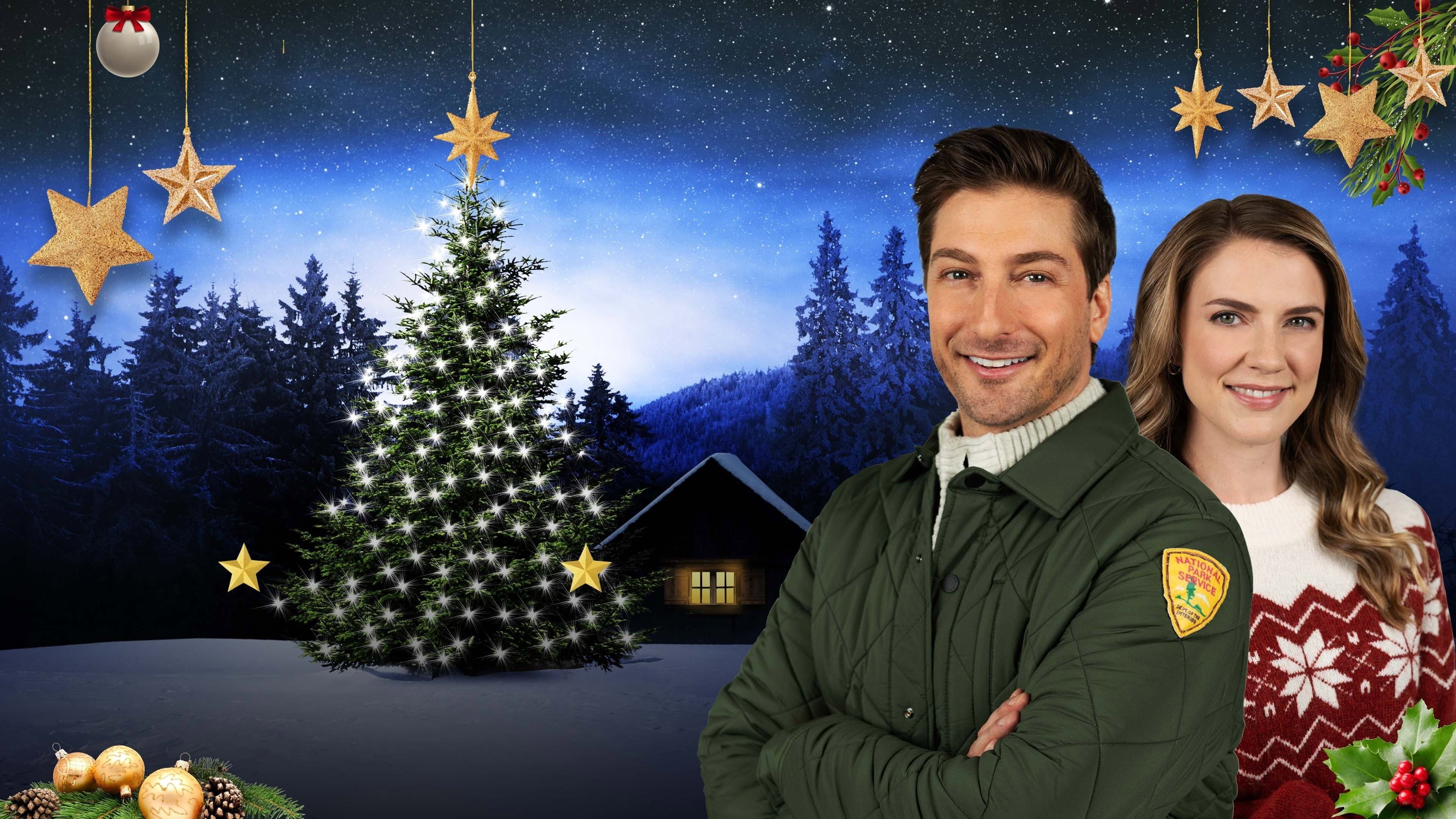 Sotto il segno del Natale - immagine