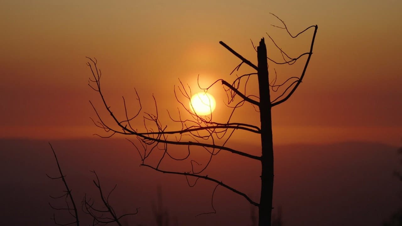 From Devil’s Breath - immagine