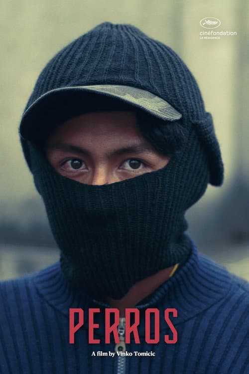 Poster di Il ladro di cani