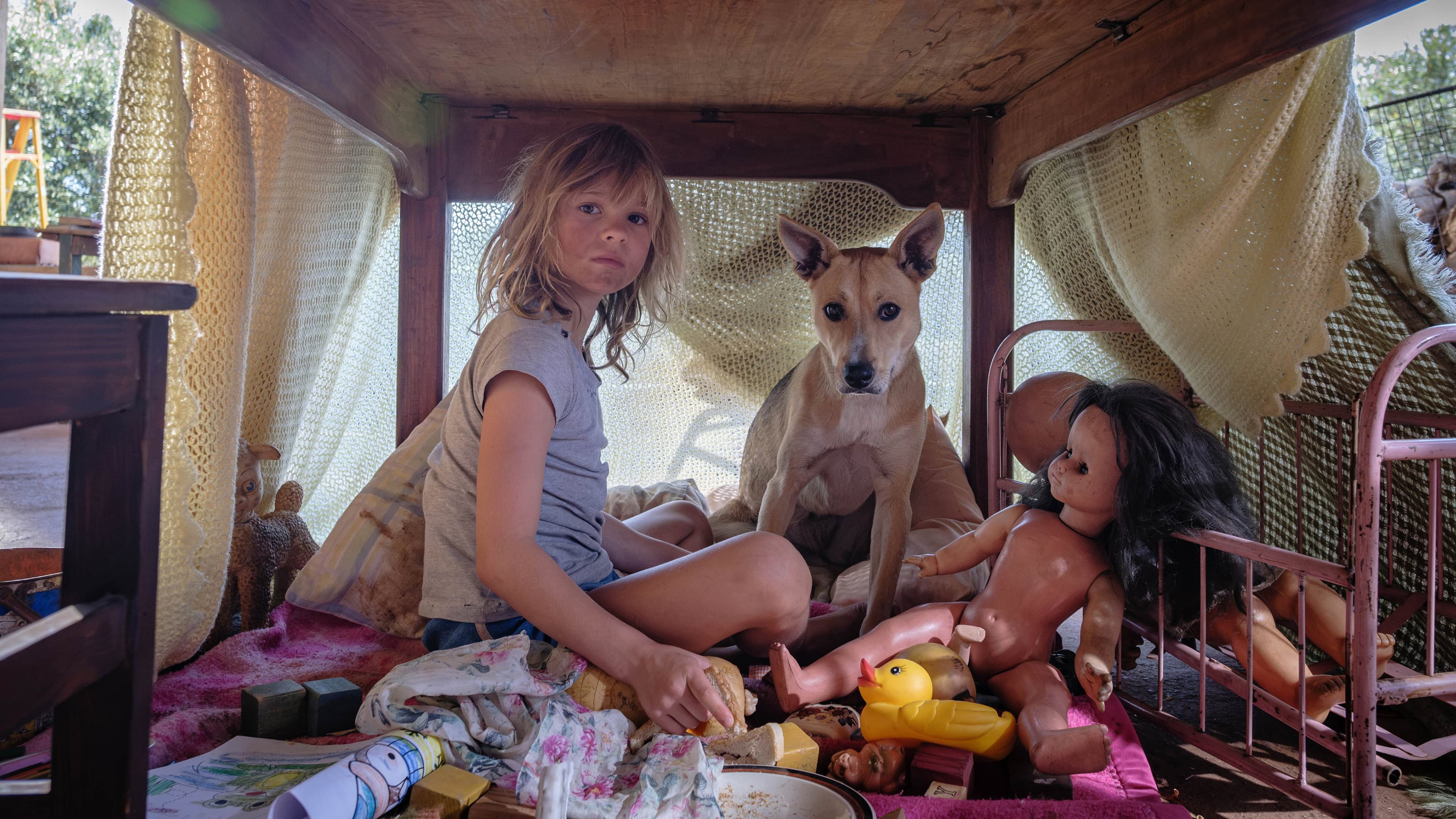 Don't Let's Go to the Dogs Tonight - immagine