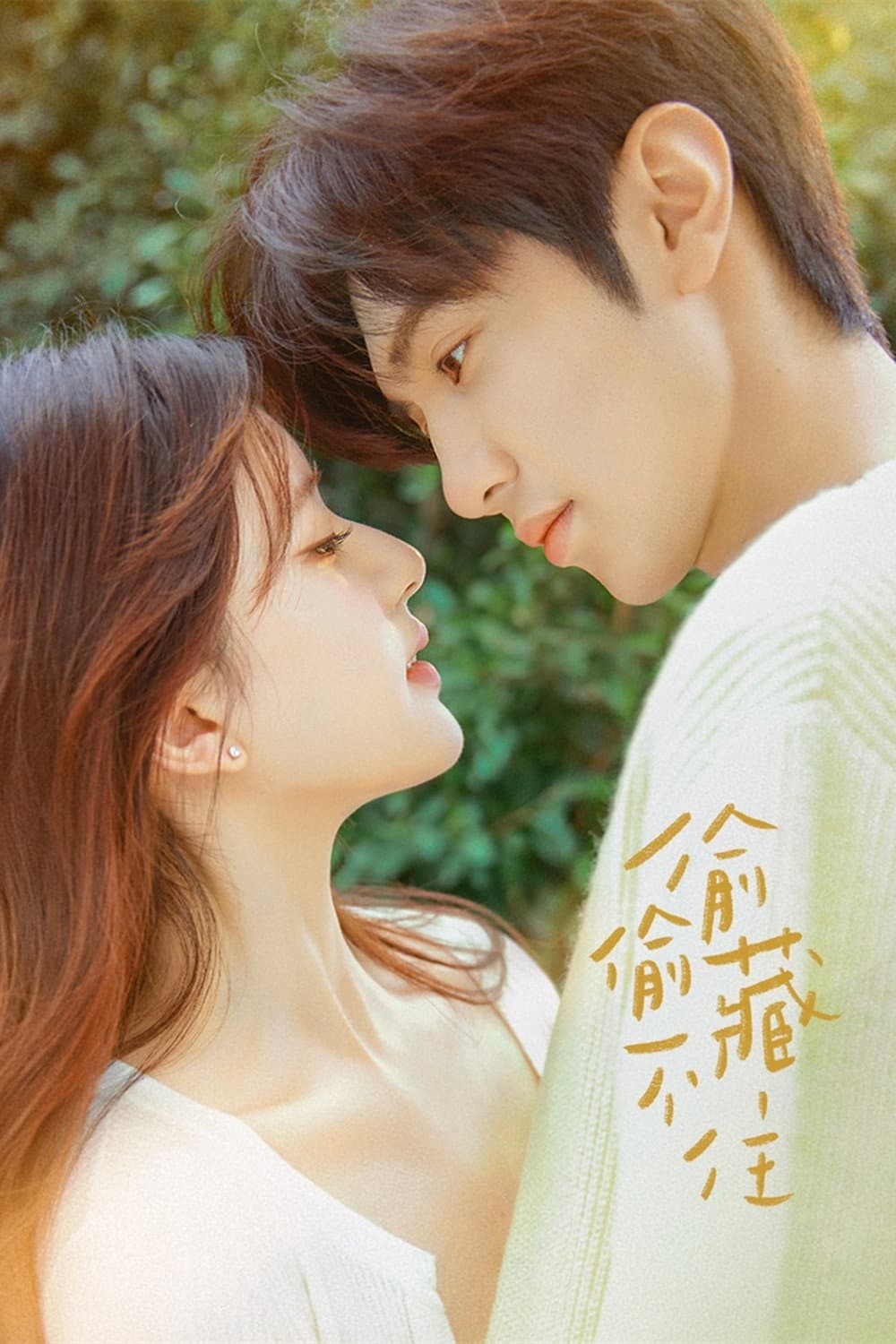 Poster di Hidden Love