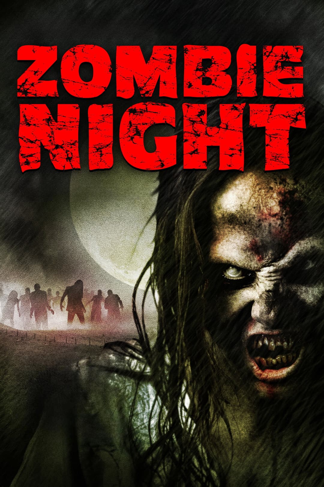 Poster di Zombie Night