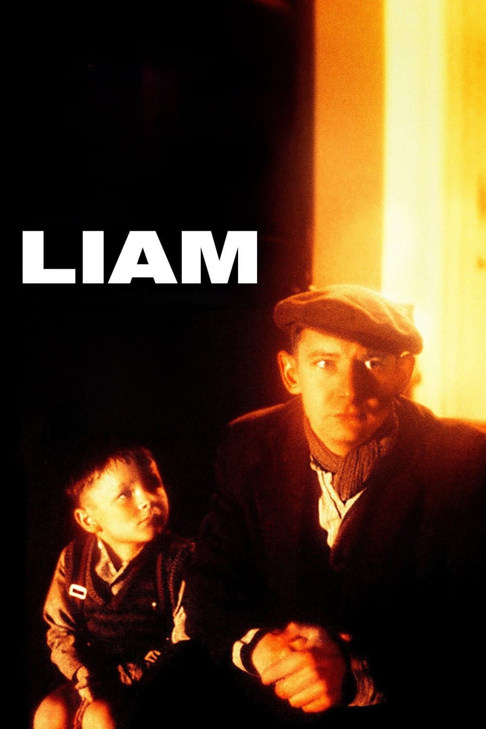 Poster di Liam