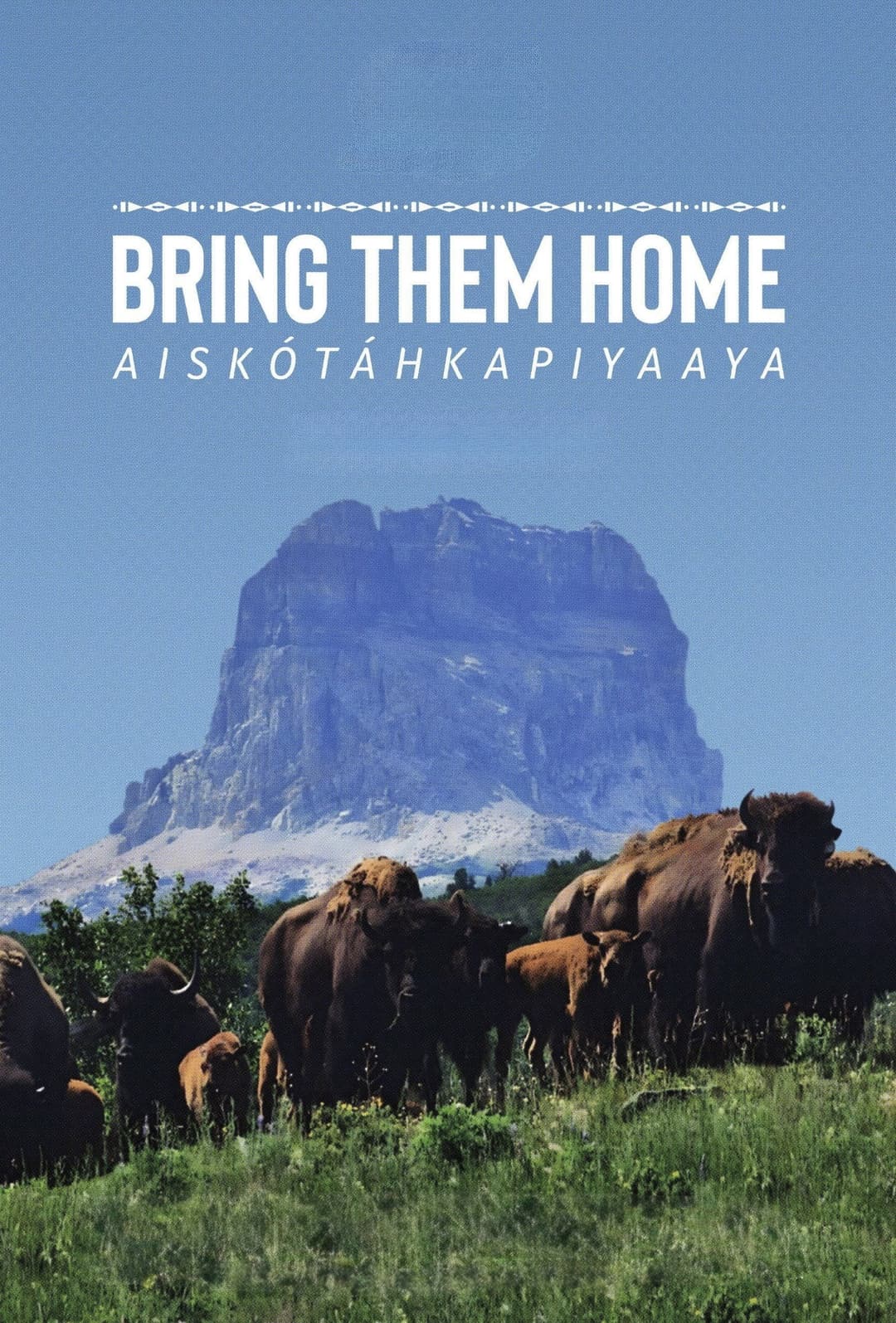 Poster di Aiskótáhkapiyaaya