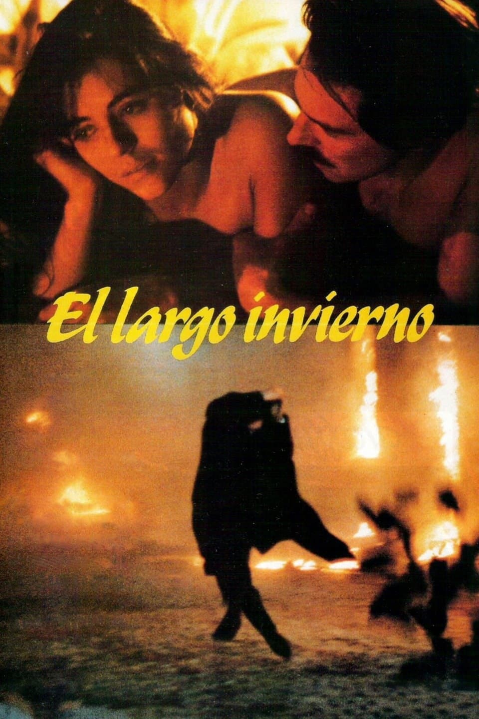 Poster di Il lungo inverno