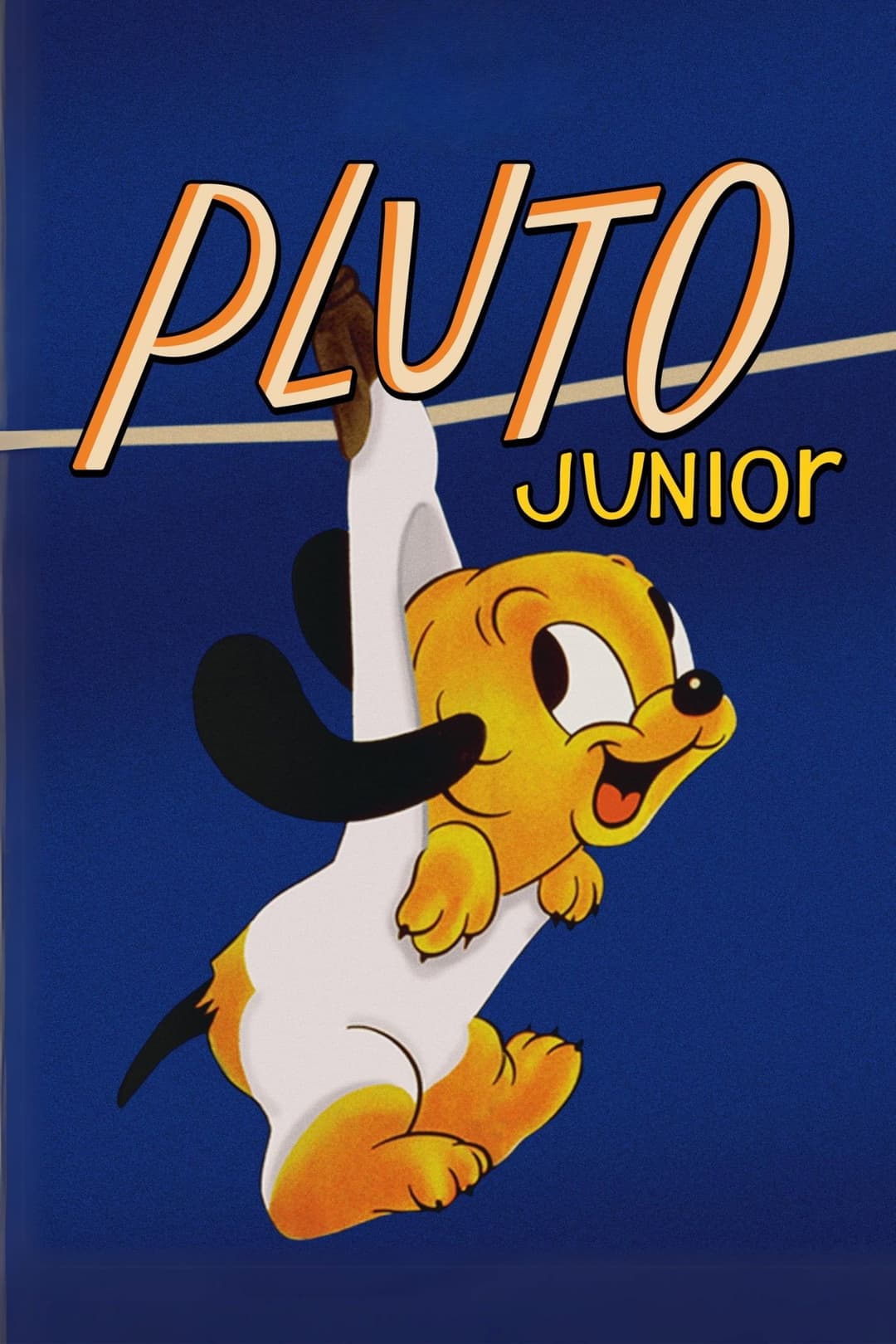 Poster di Il Piccolo Pluto