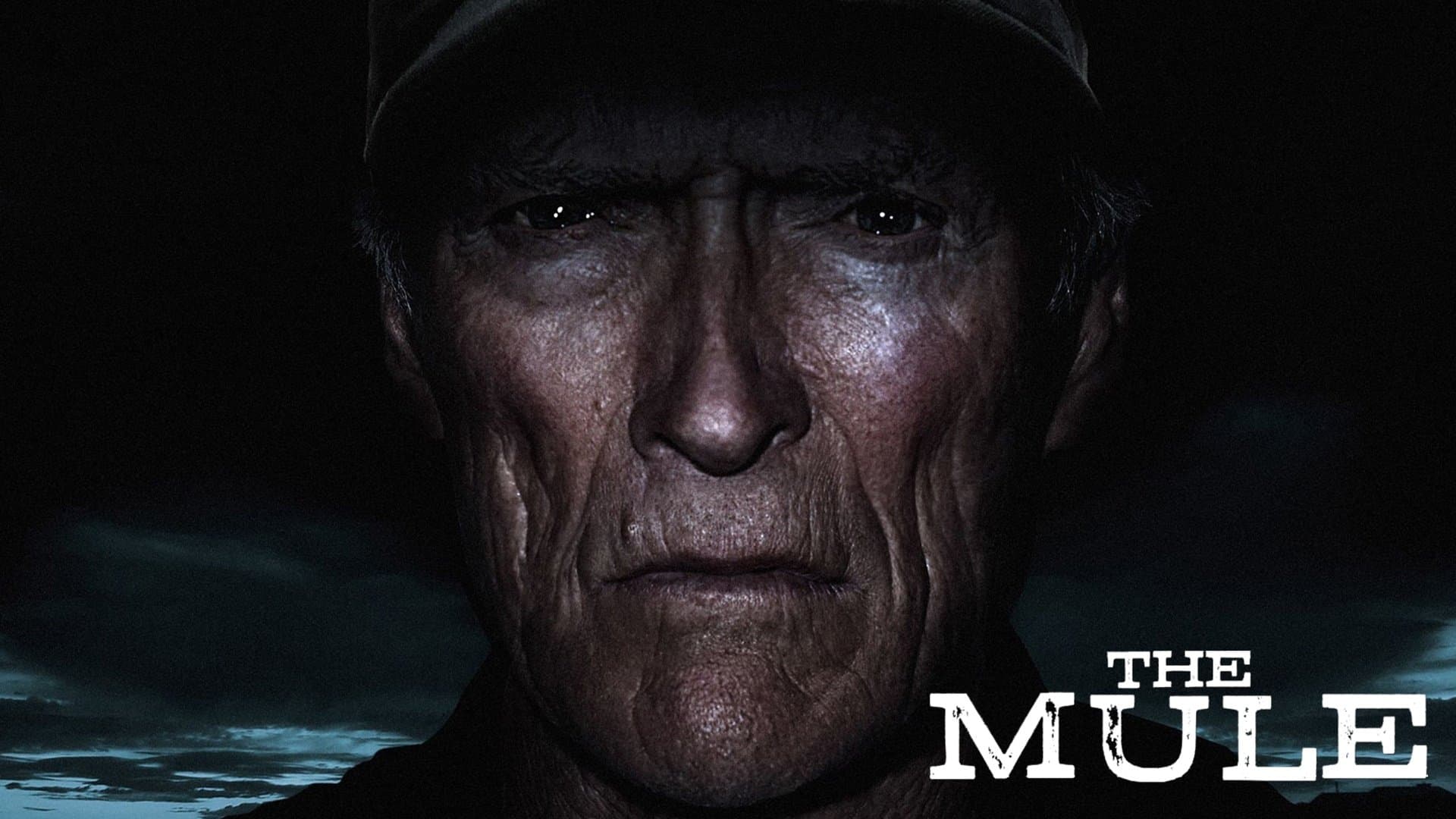 Il corriere - The Mule - immagine