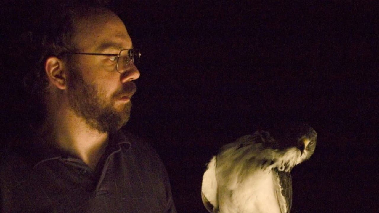 The Hawk Is Dying - immagine