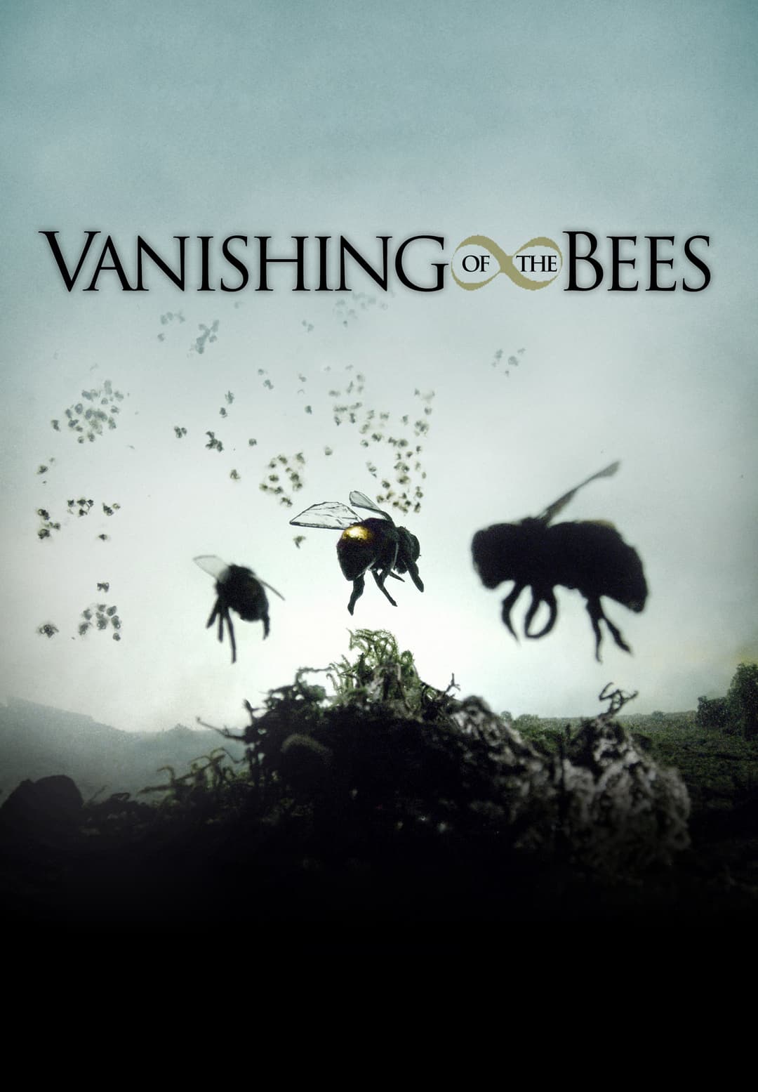 Poster di Vanishing of the Bees