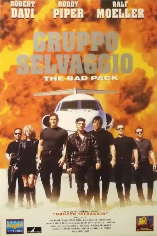 Poster di Gruppo selvaggio