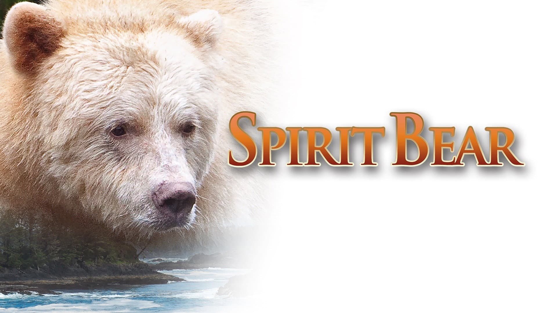Spirit Bear: The Simon Jackson Story - immagine
