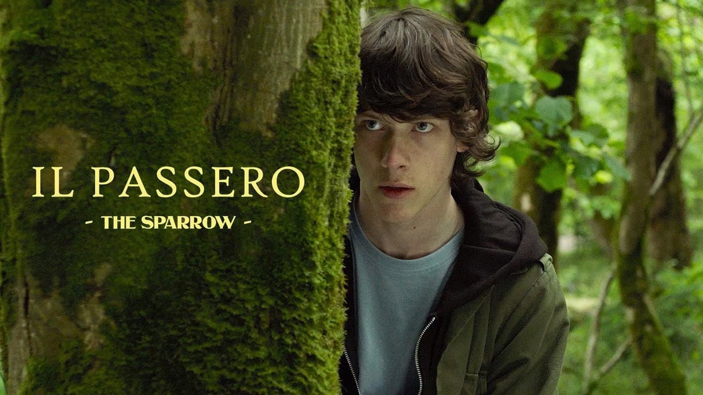Il passero - The Sparrow - immagine