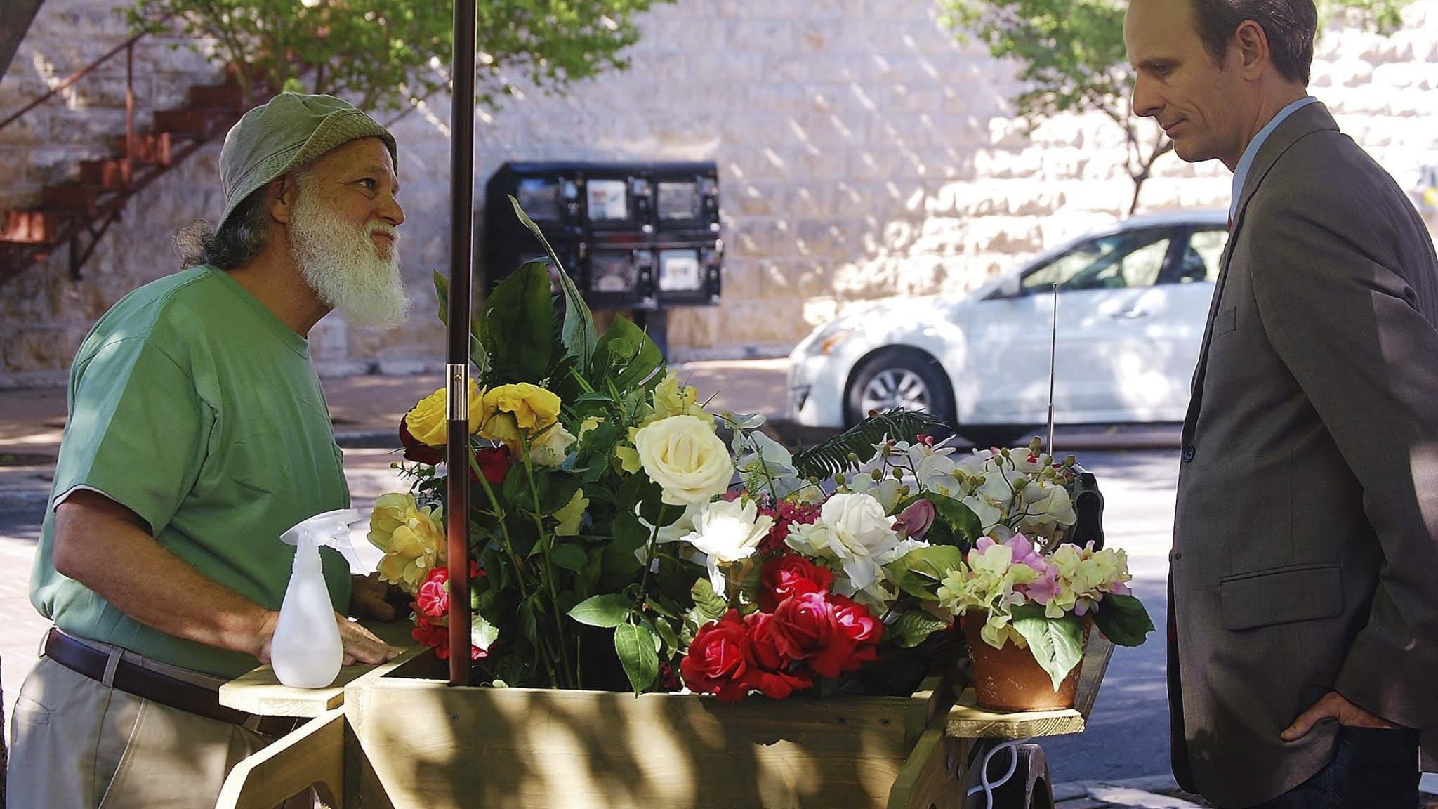 The Man Who Loved Flowers - immagine