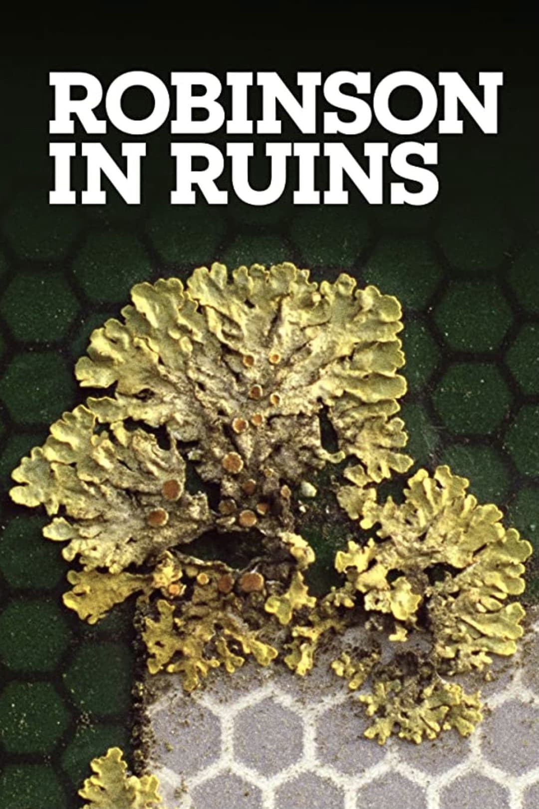 Poster di Robinson in Ruins