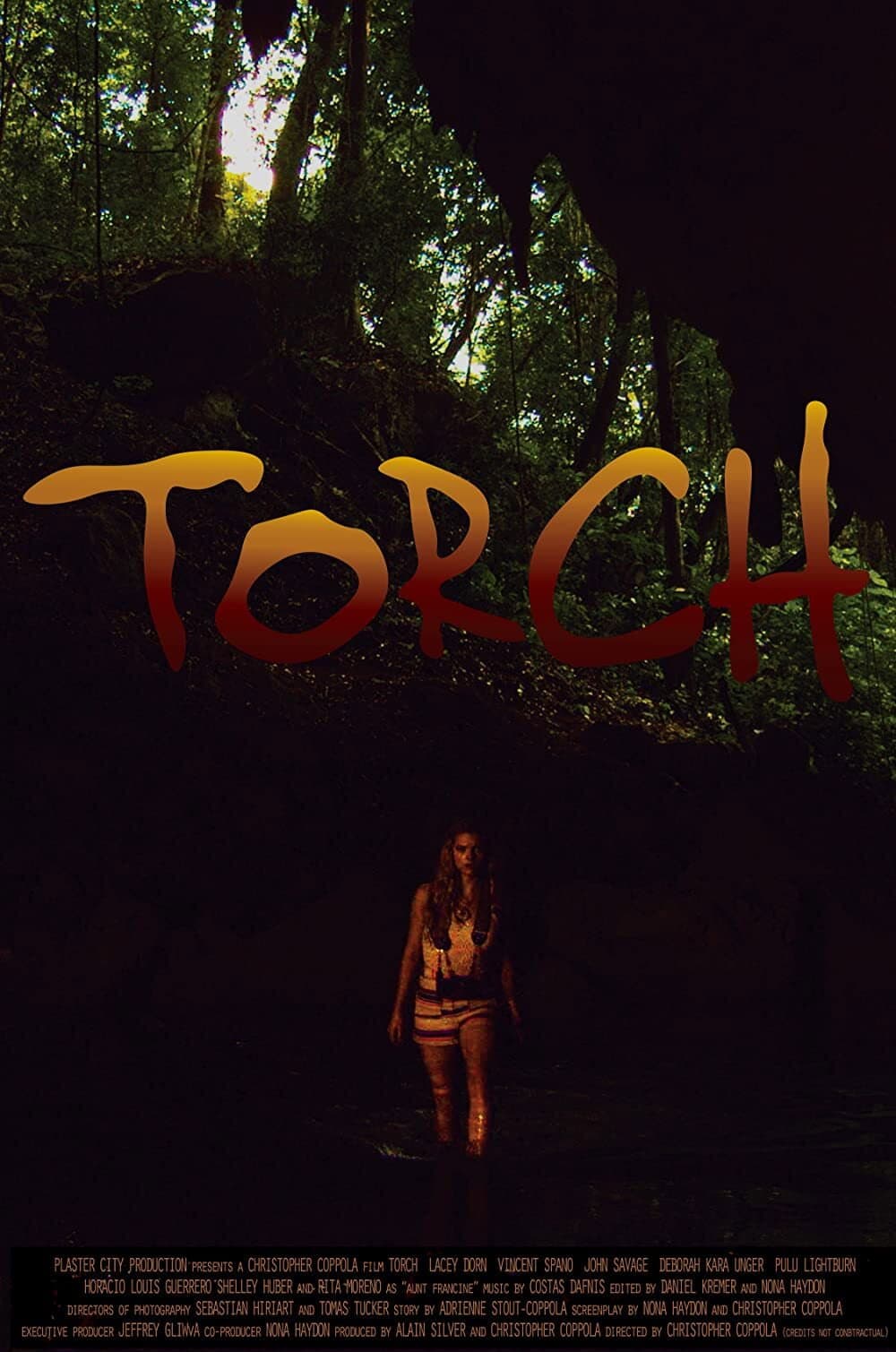 Poster di Torch