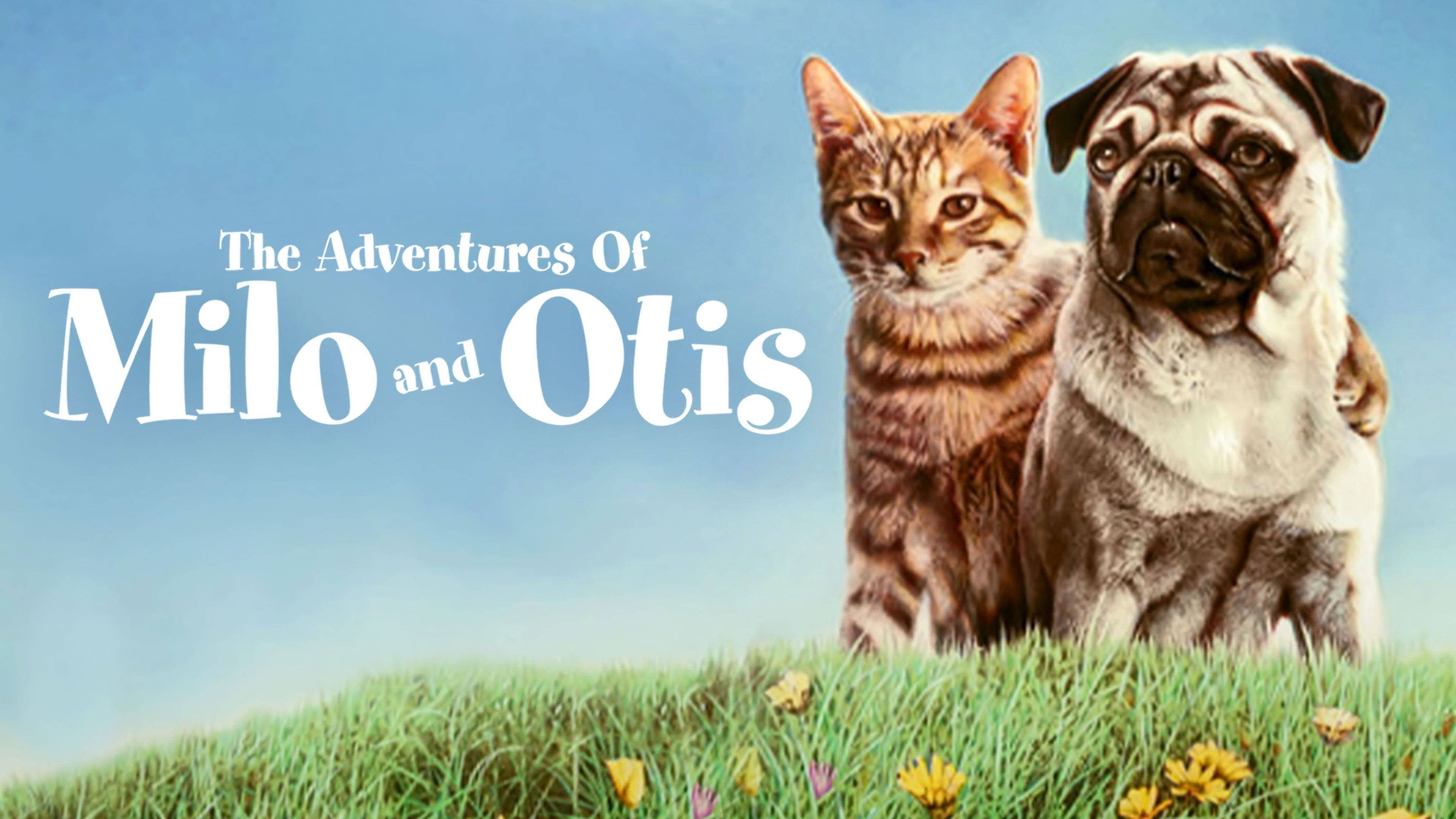 Le avventure di Milo e Otis - immagine
