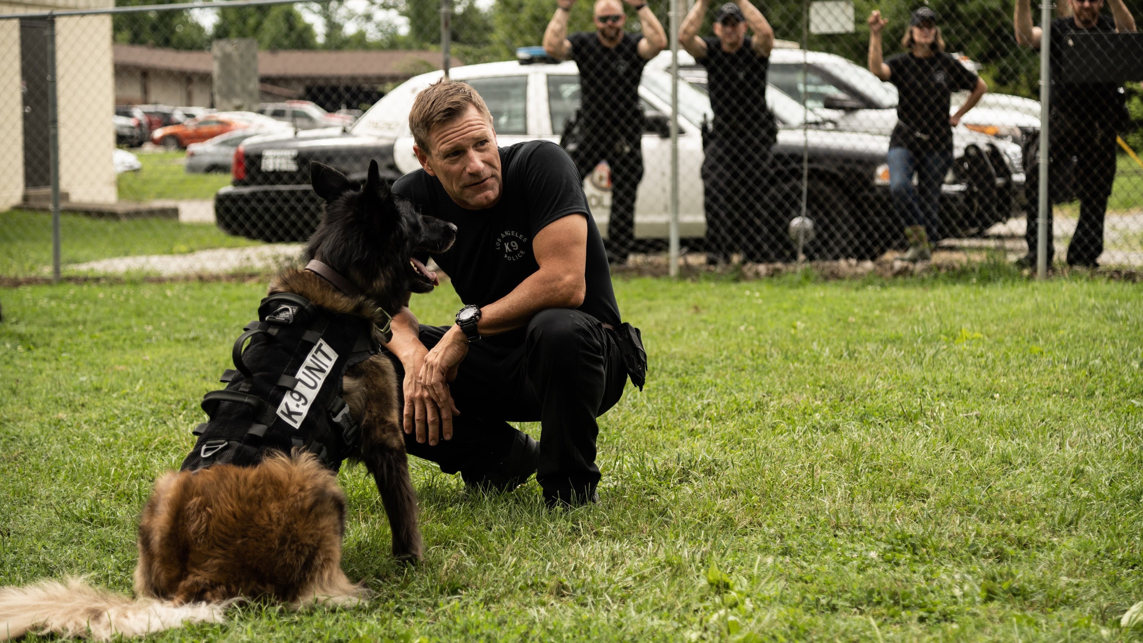 K9 - Squadra antidroga - immagine