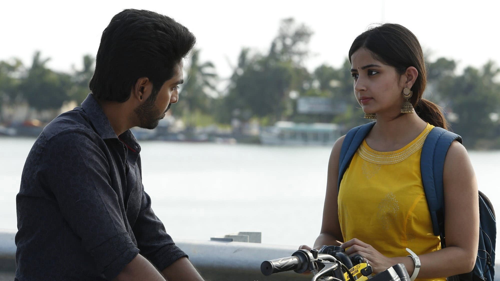சிவப்பு மஞ்சள் பச்சை - immagine