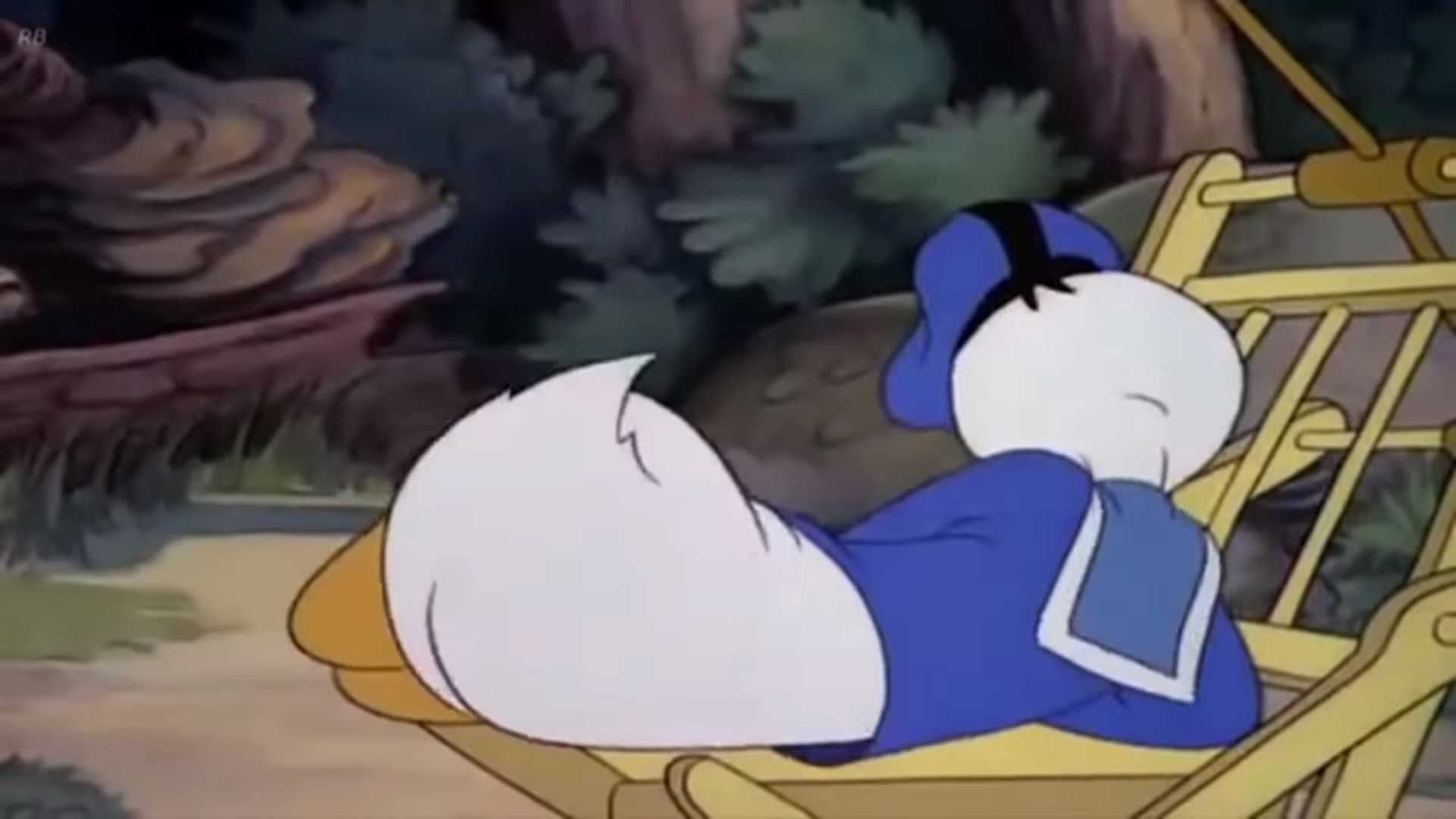 Le vacanze di Paperino - immagine