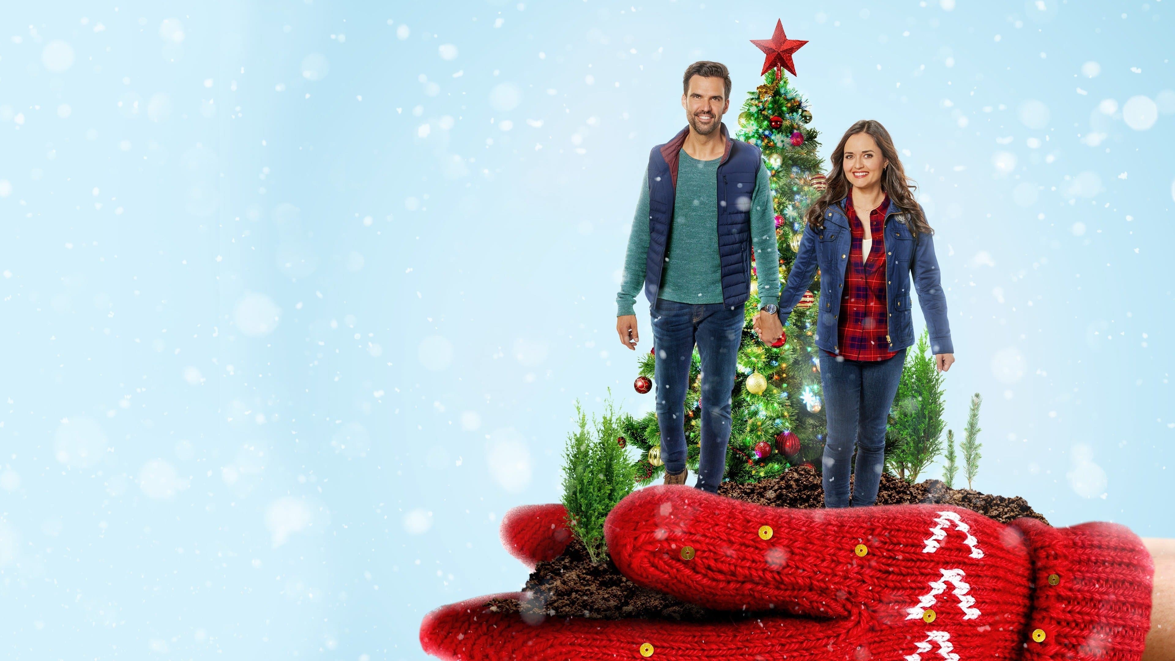 You, Me and the Christmas Trees - immagine