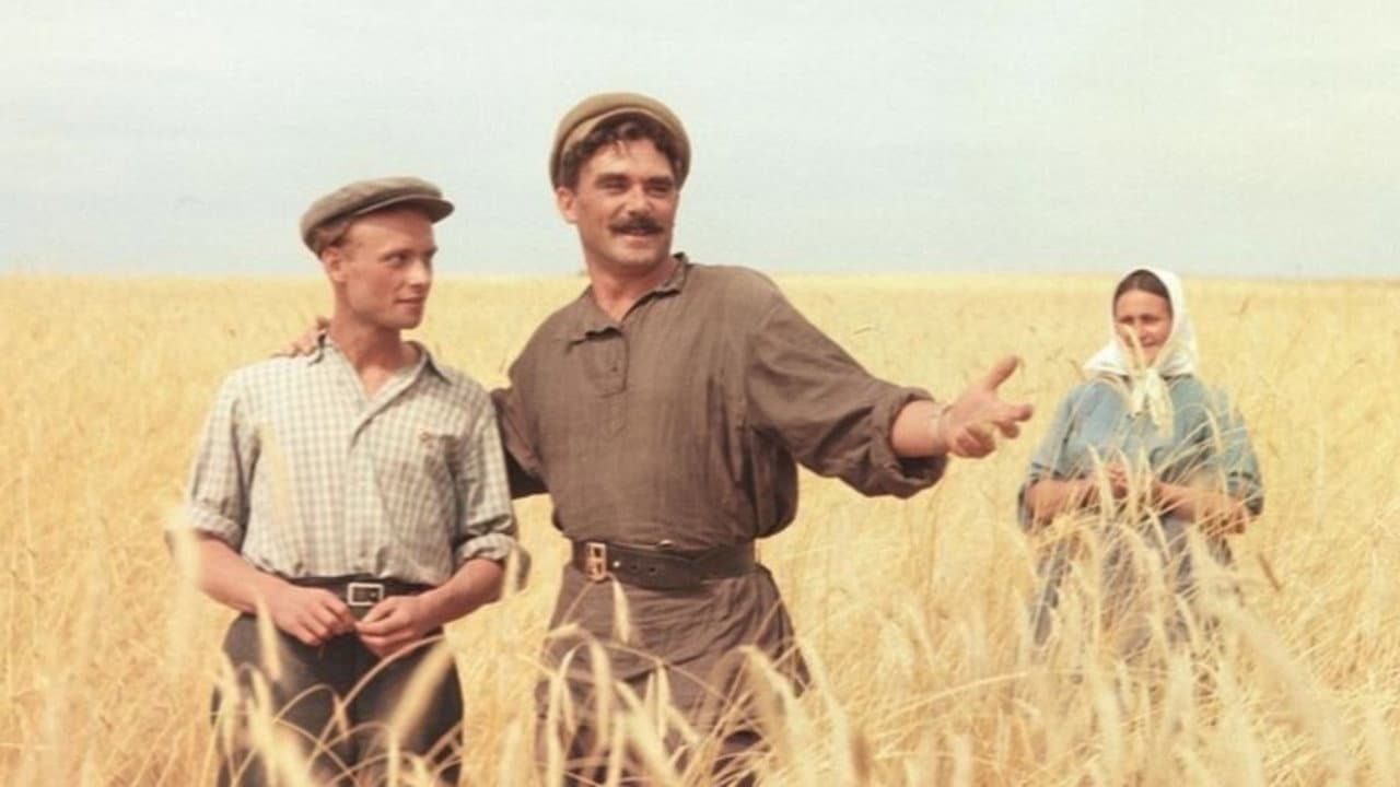 Возвращение Василия Бортникова - immagine