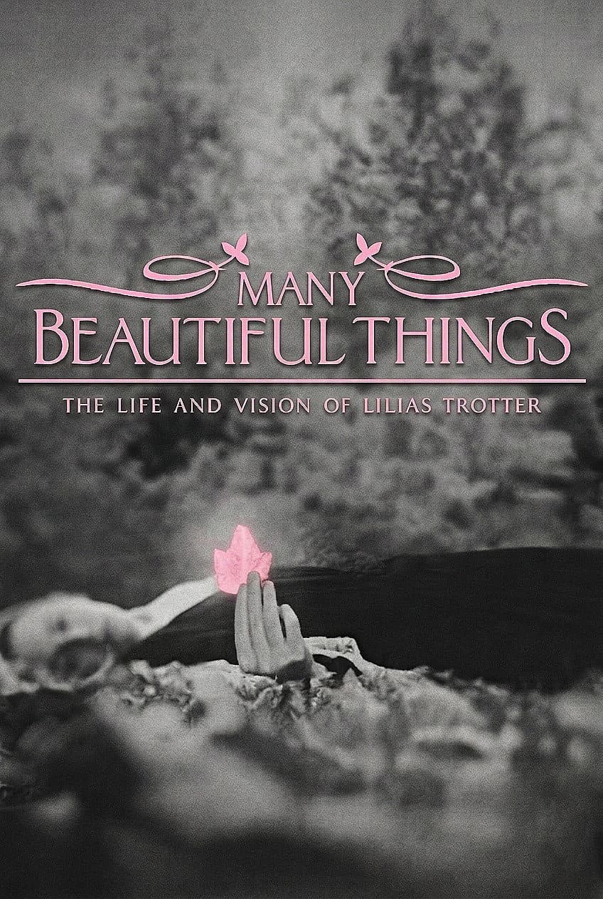 Poster di Many Beautiful Things
