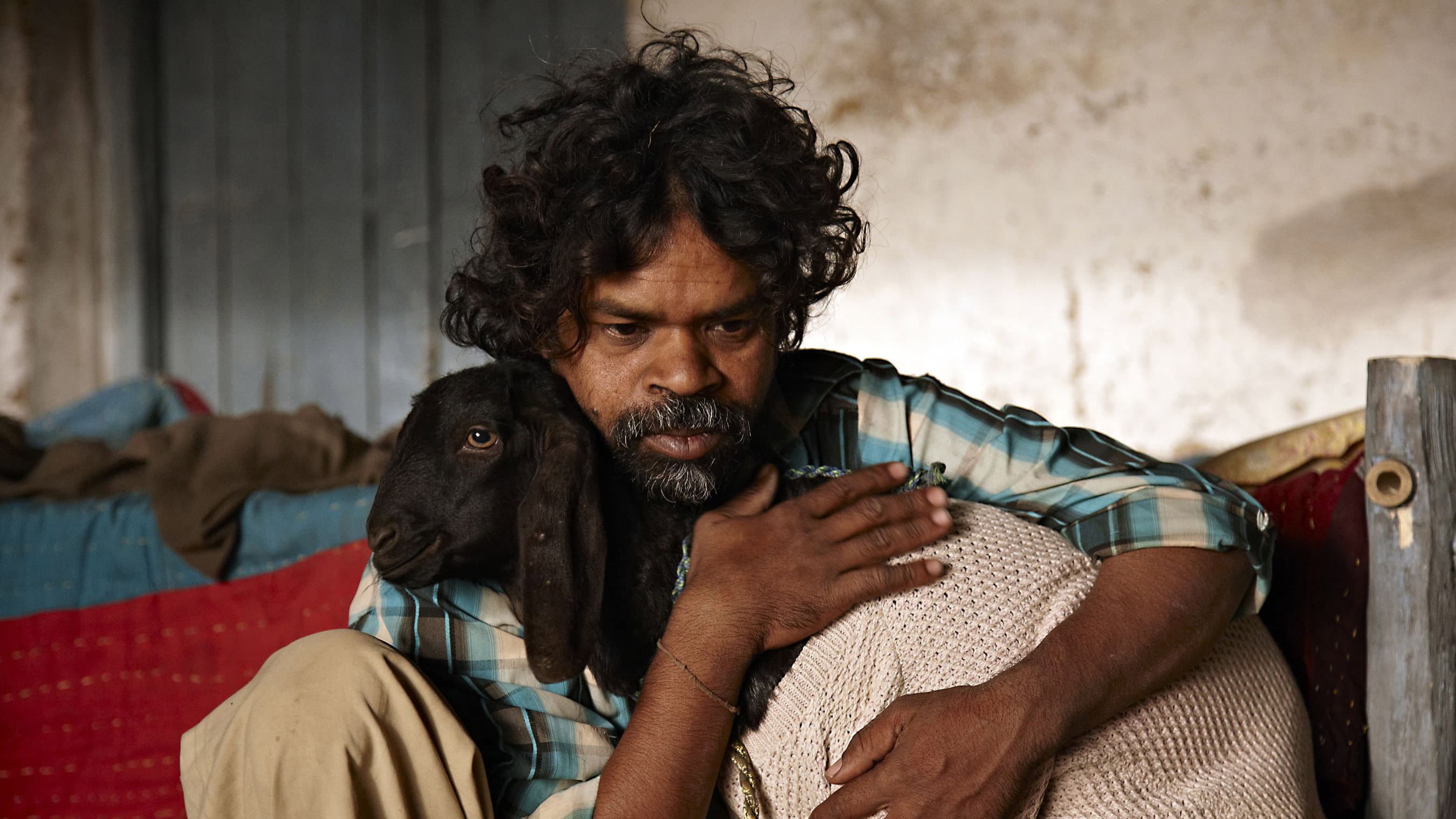 Peepli Live - immagine