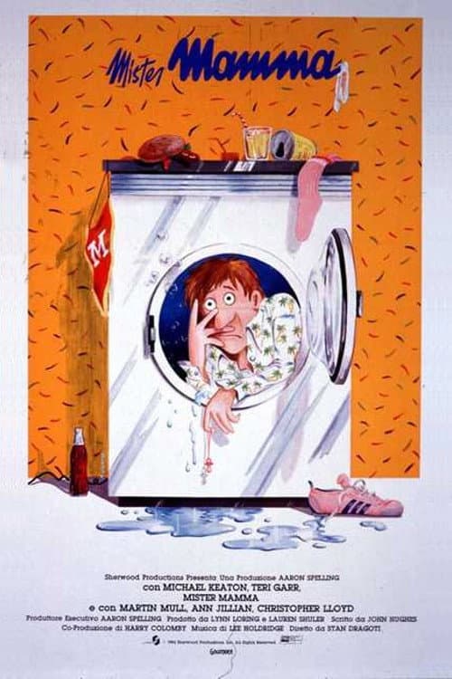 Poster di Mister mamma